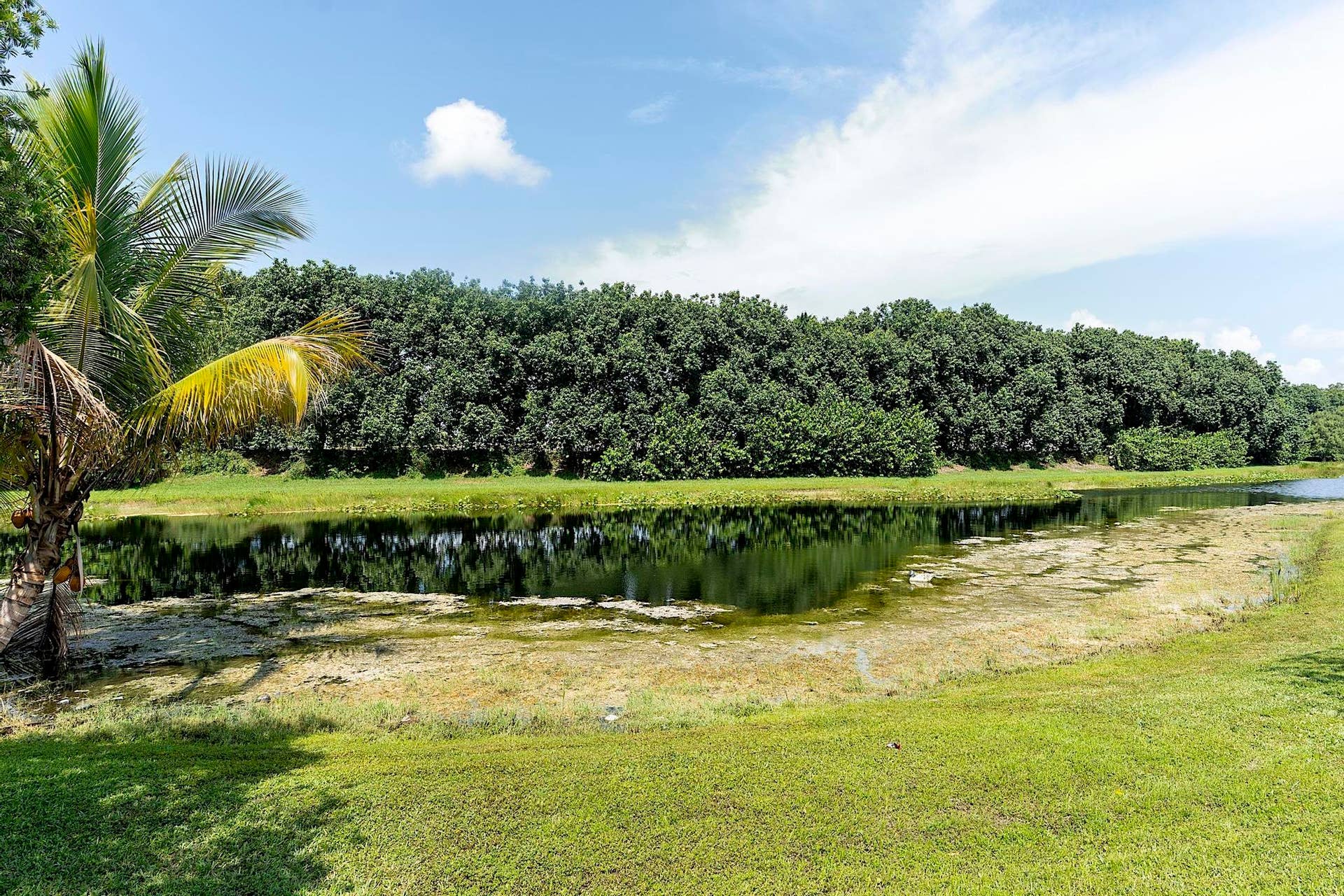 875 Bayside Lane weston FL- - 057