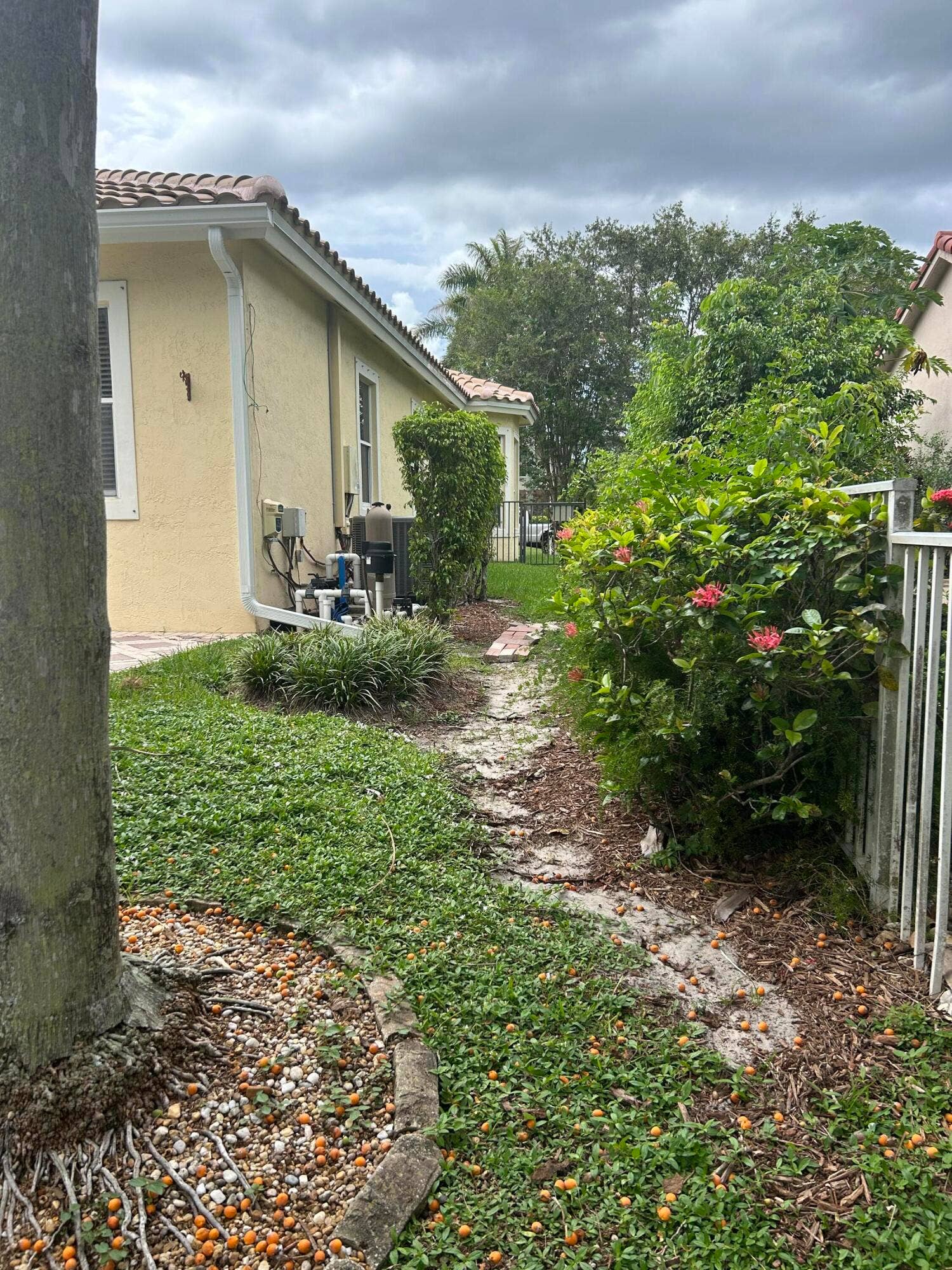 8192 NW 42nd Street, Coral Springs, Coral Springs, FL 33065 IMG_0836