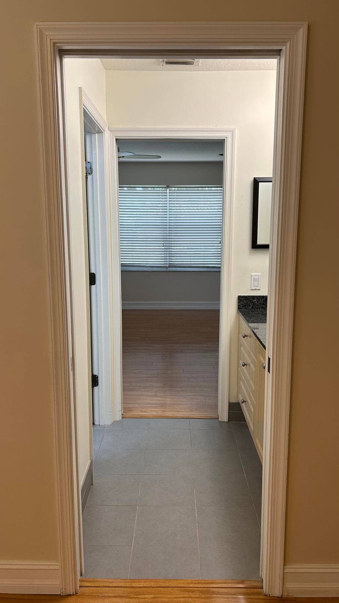8192 NW 42nd Street, Coral Springs, Coral Springs, FL 33065 Kids Bath