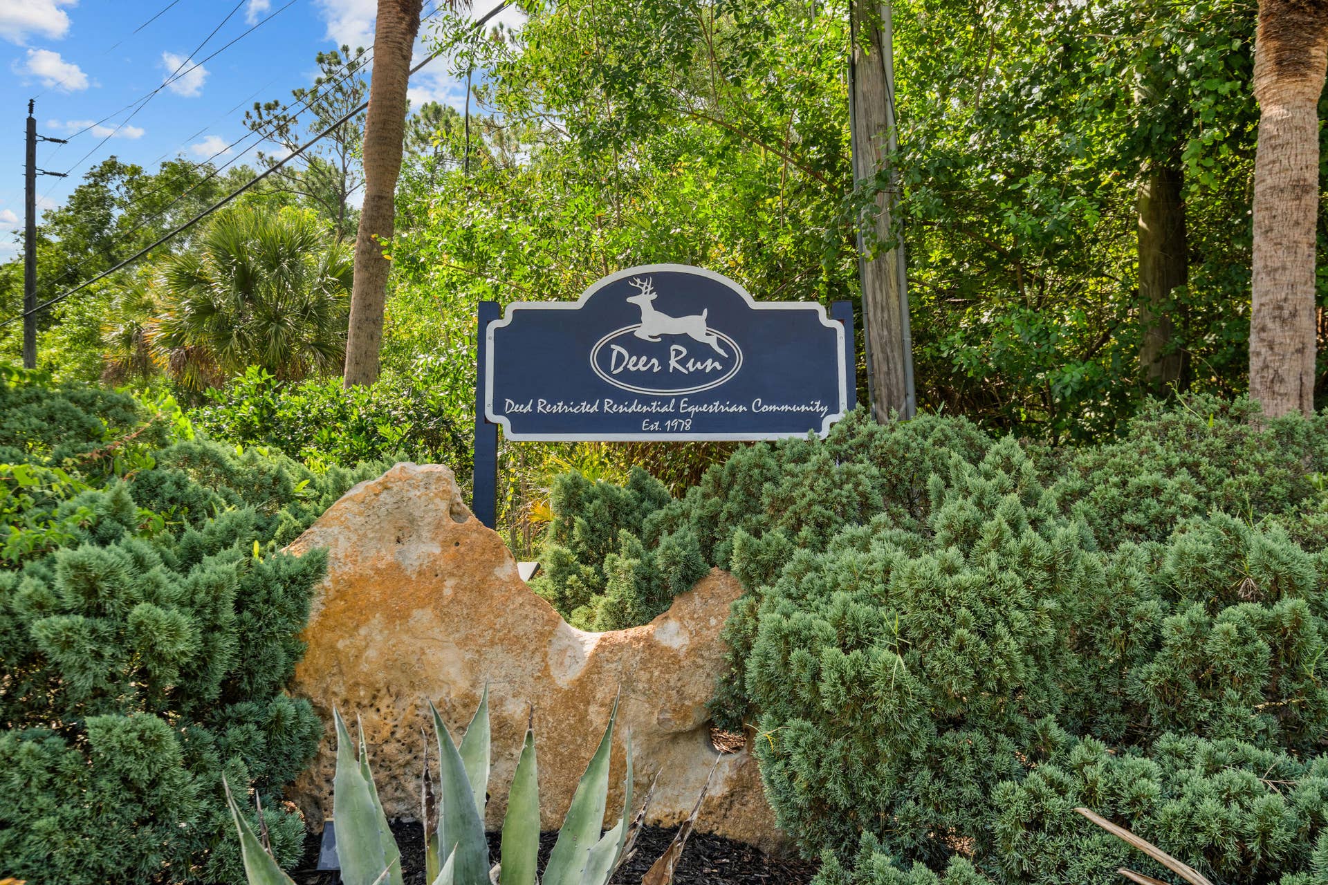 19925 Black Falcon Road, Loxahatchee, FL 33470 DSC02603