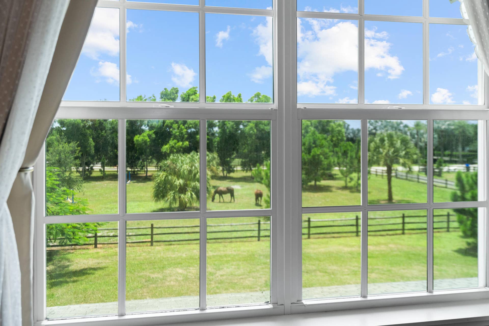 19925 Black Falcon Road, Loxahatchee, FL 33470 DSC02340