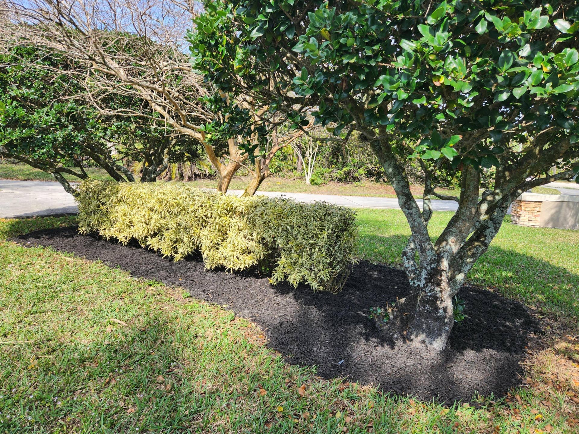 6303 Royal Palm Beach Boulevard, West Palm Beach, FL 33412 front yard