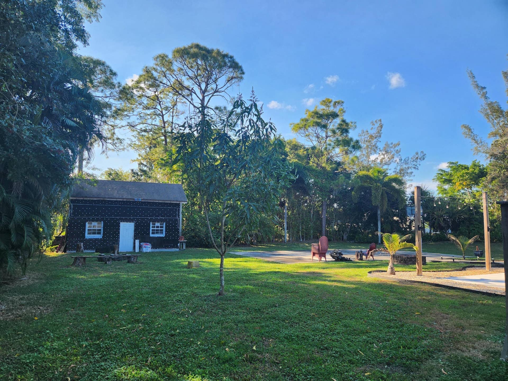 6303 Royal Palm Beach Boulevard, West Palm Beach, FL 33412 Rear yard