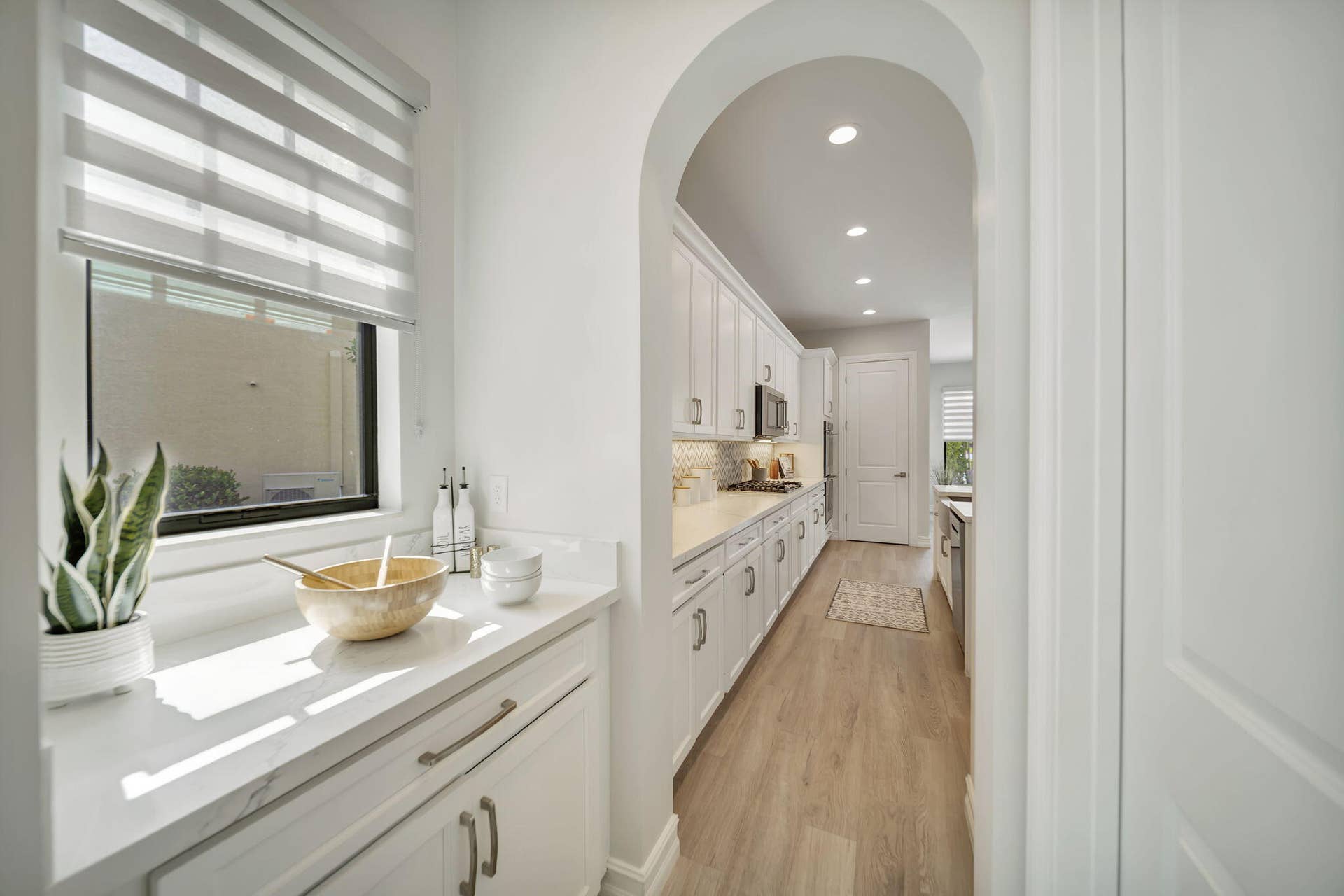 Extra pantry area with separate ADDITIONAL pantry closet (with built -ins)