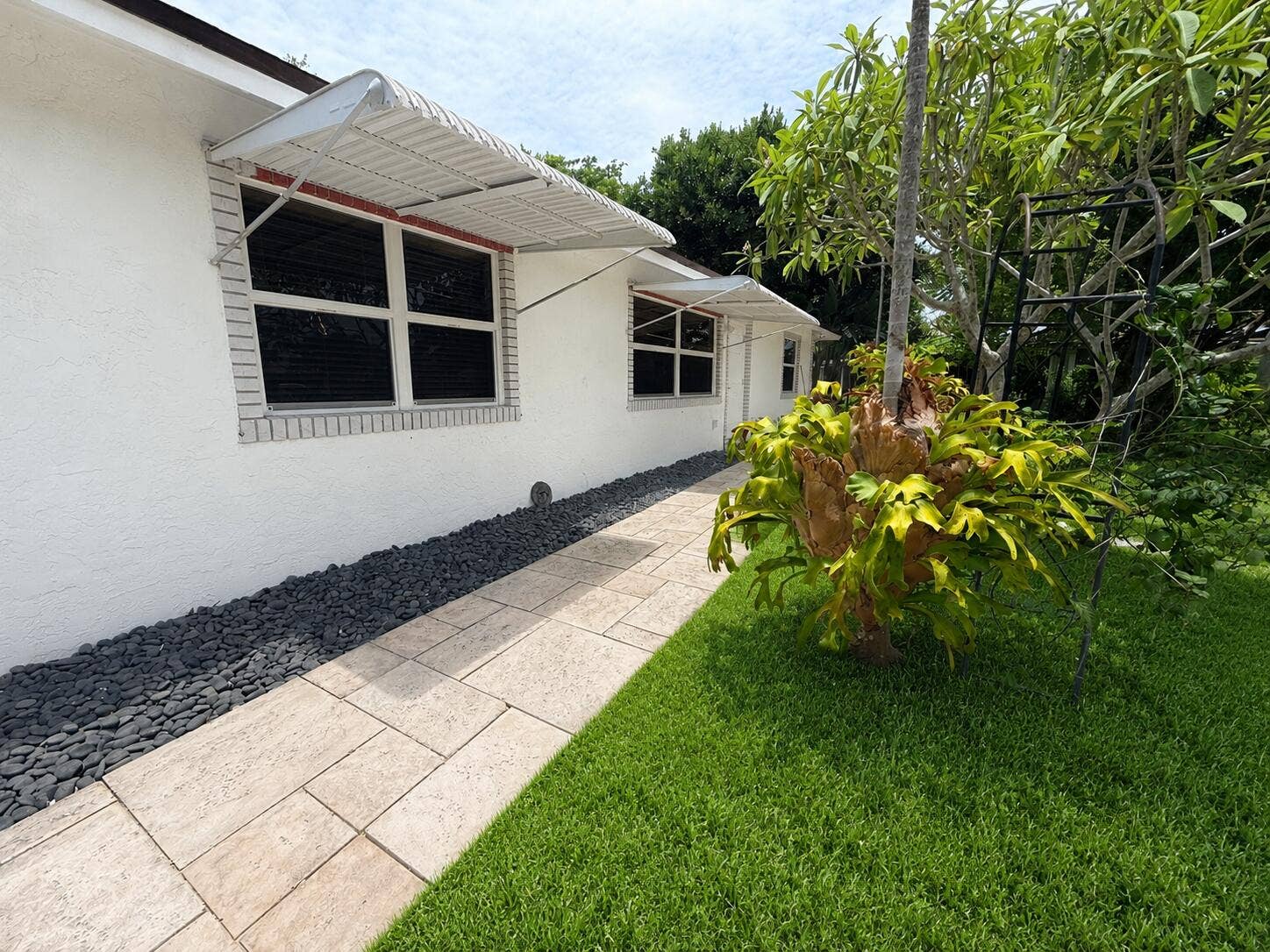 walkway with grass