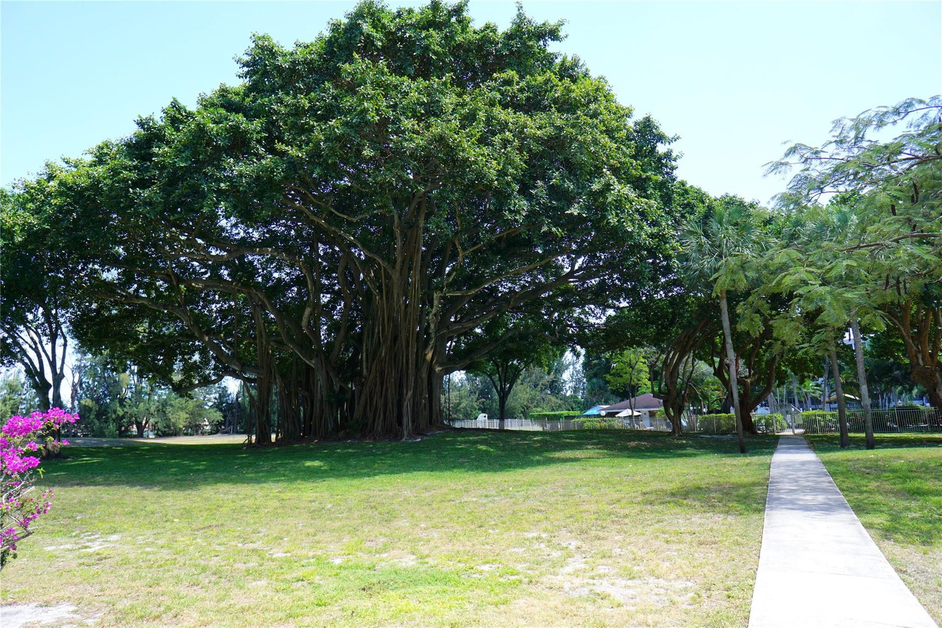 2600 S COURSE Drive, #410, Pompano Beach, FL 33069 Photo 32