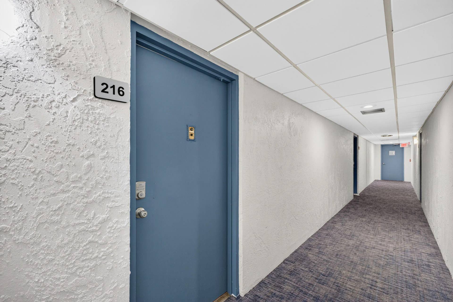 7-web-or-mls-A699A9857