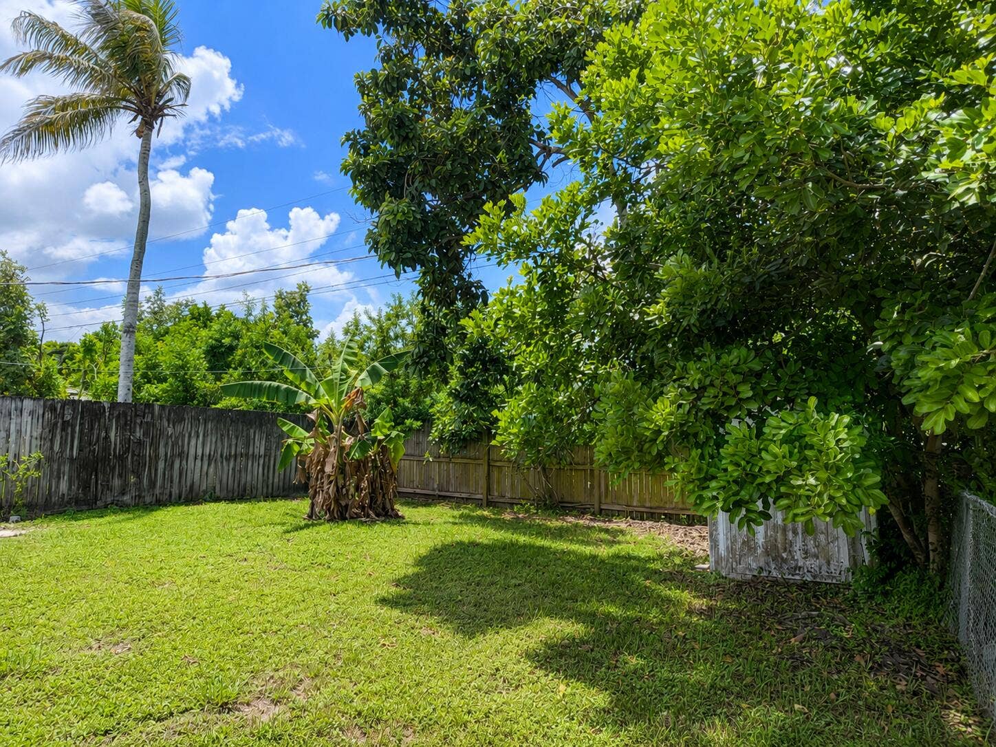 Fenced Backyard