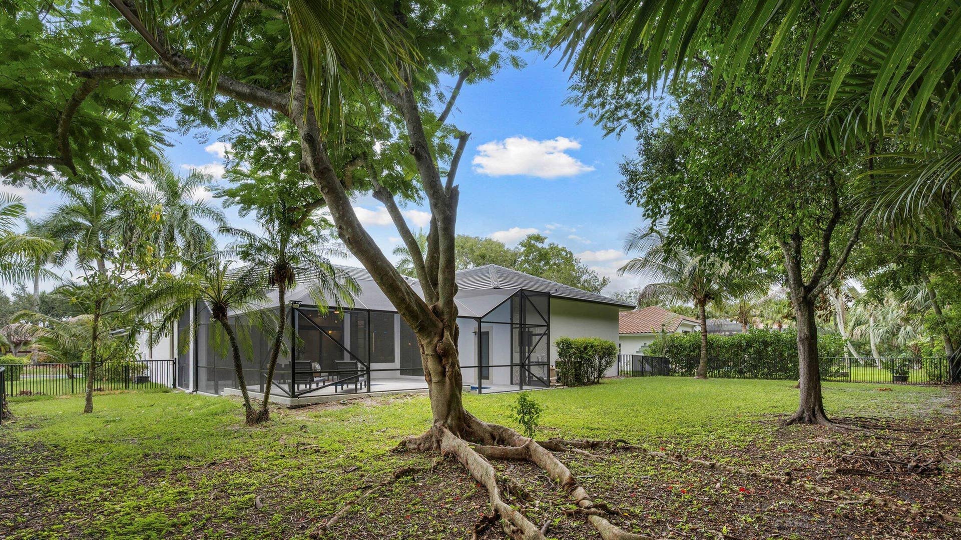 Large lot behind house
