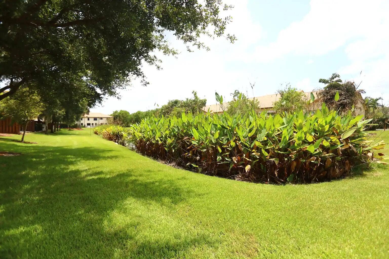 807 E Village Circle, Davie, FL 33325 Image 7-24-26 at 9.49PM (5)