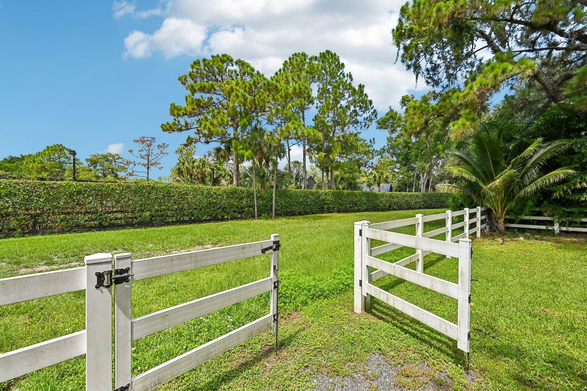1401 Pelham Road, Wellington, FL 33414 56-web-or-mls-Pelham Rd-S3007-056