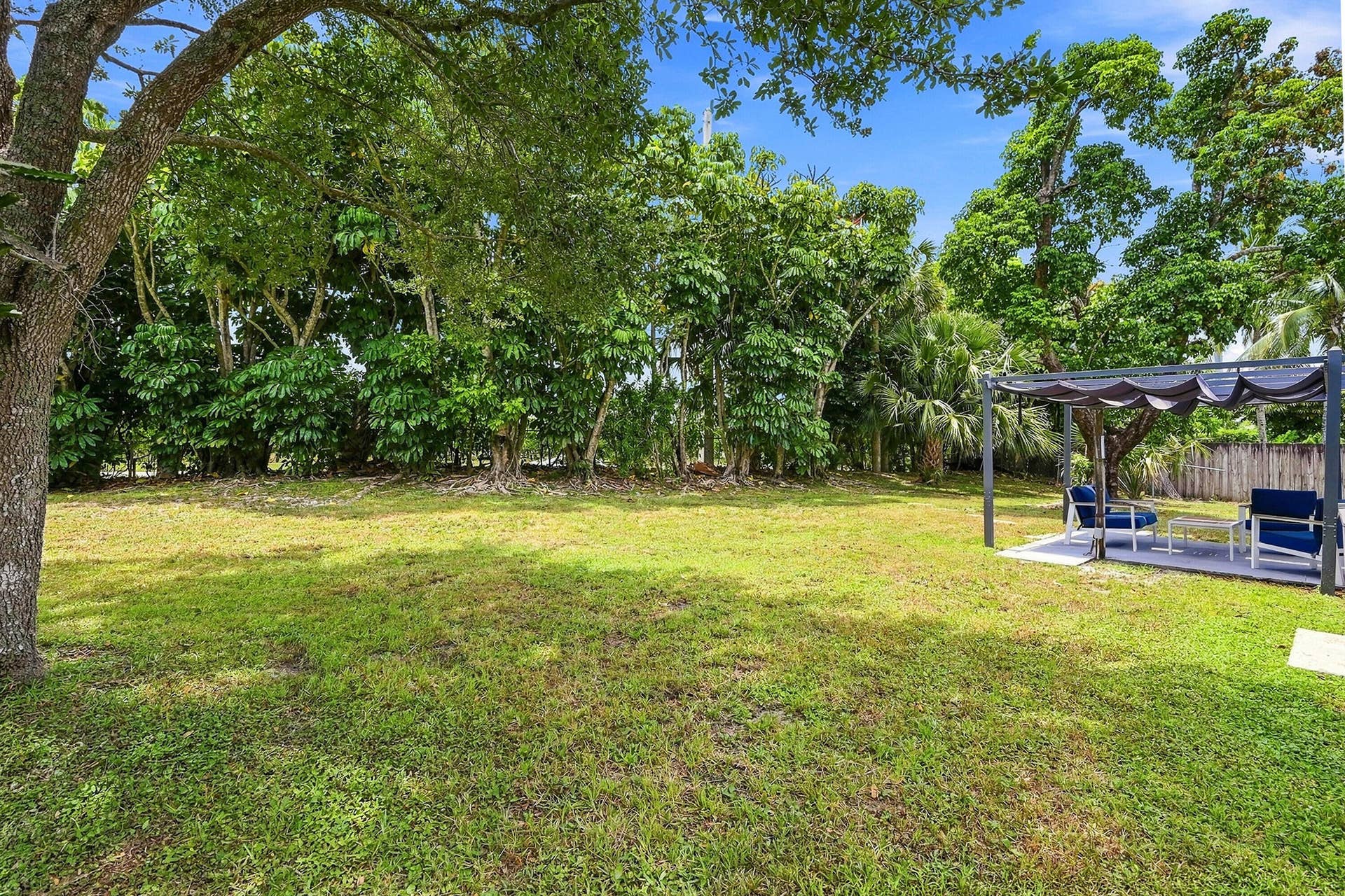 Backyard