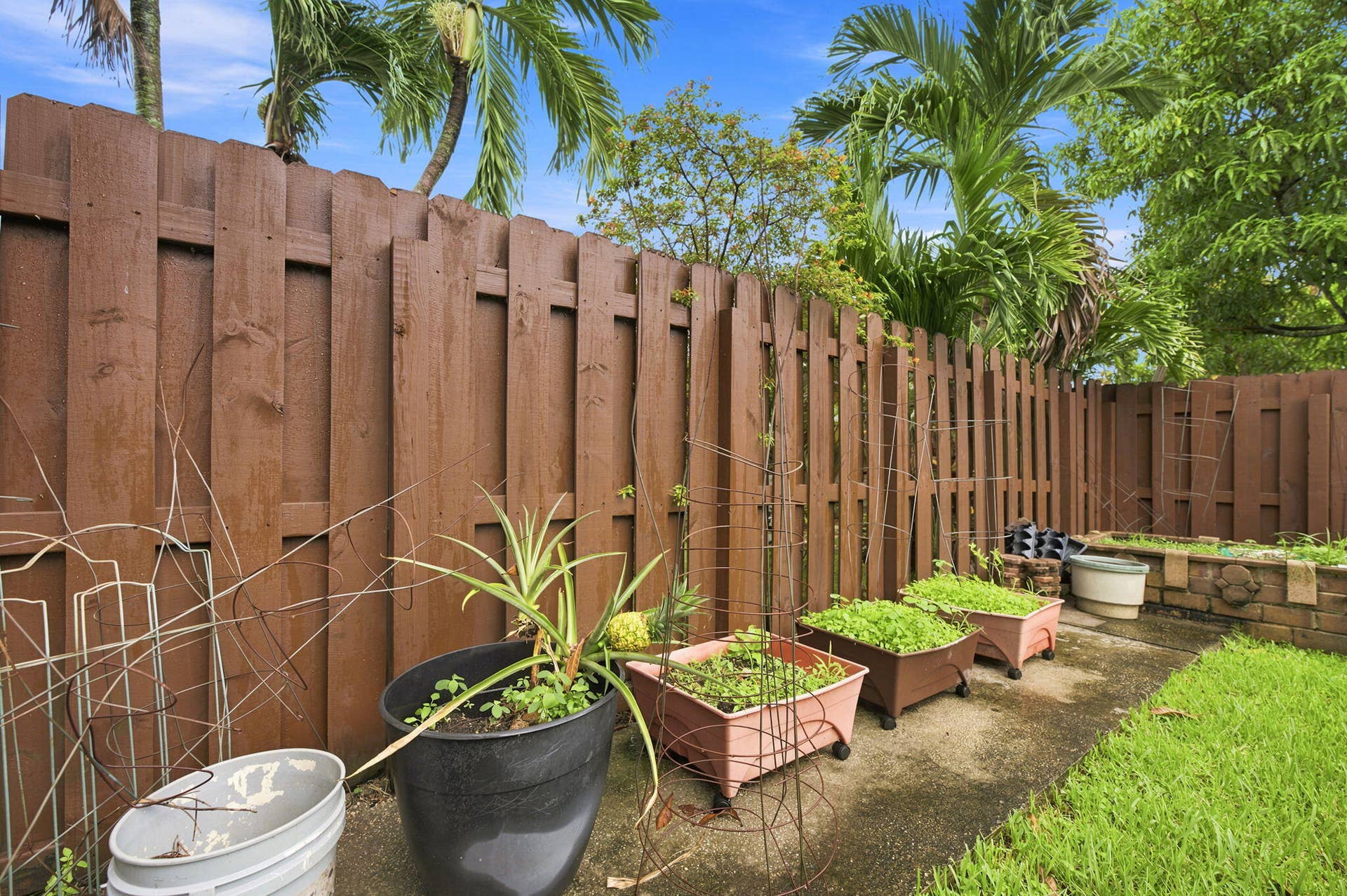FENCED BACK YARD