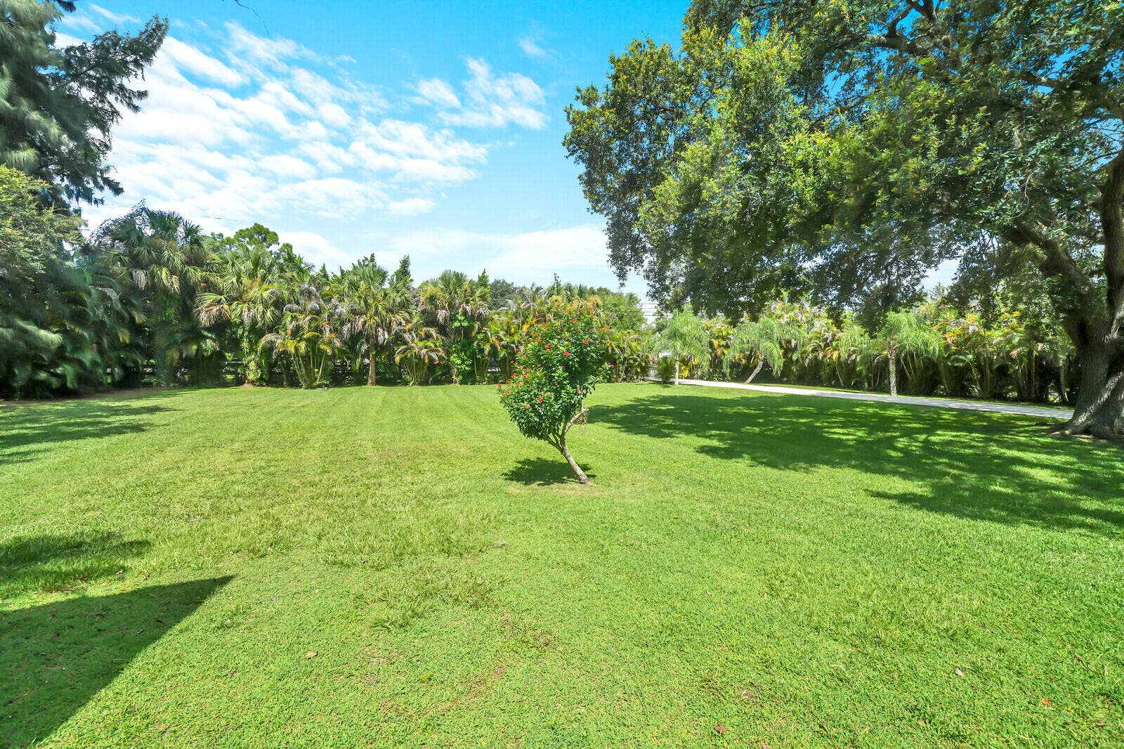 front yard to street 17644