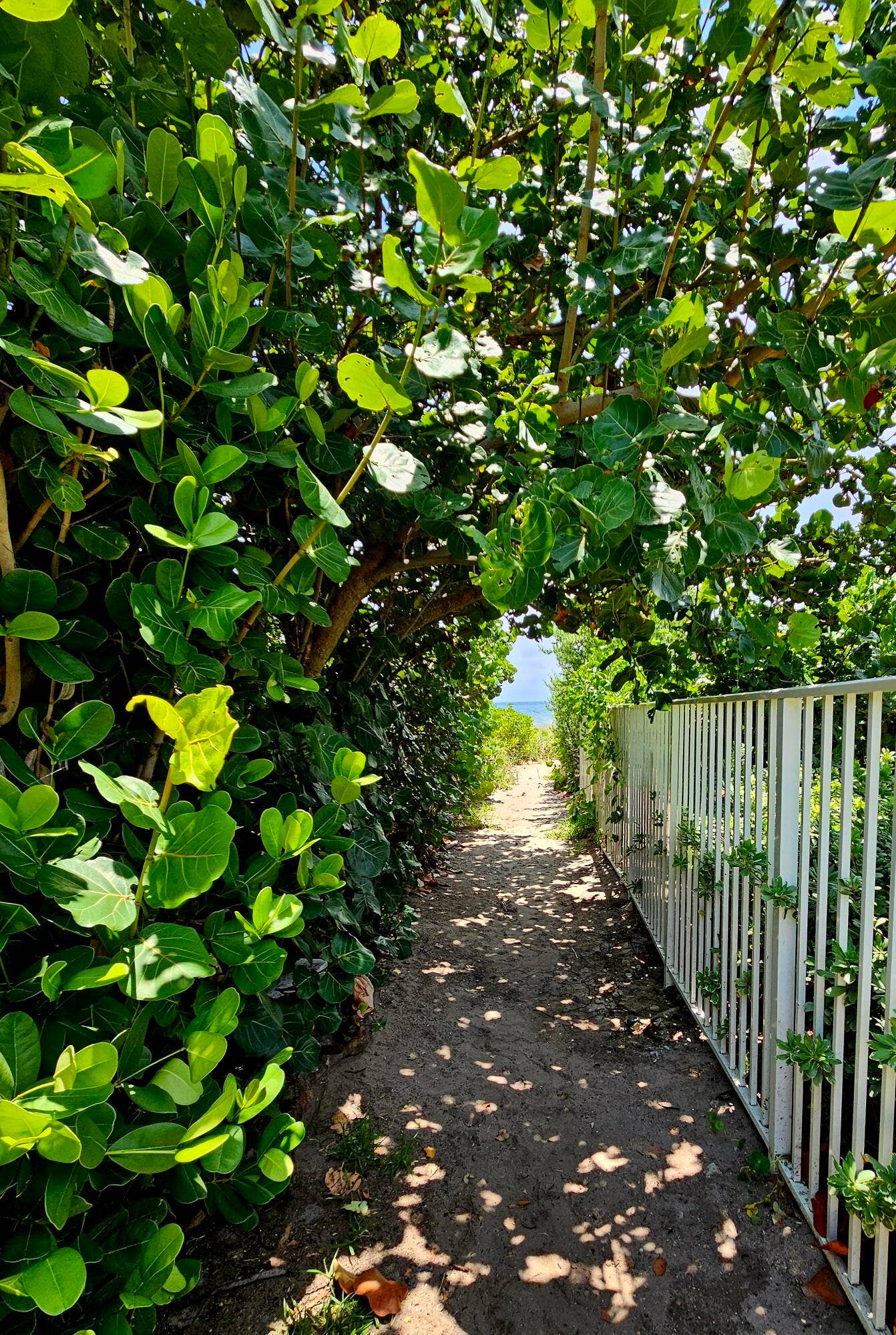 1461 S OCEAN Boulevard, #311, Lauderdale By The Sea, FL 33062 20260723_125119