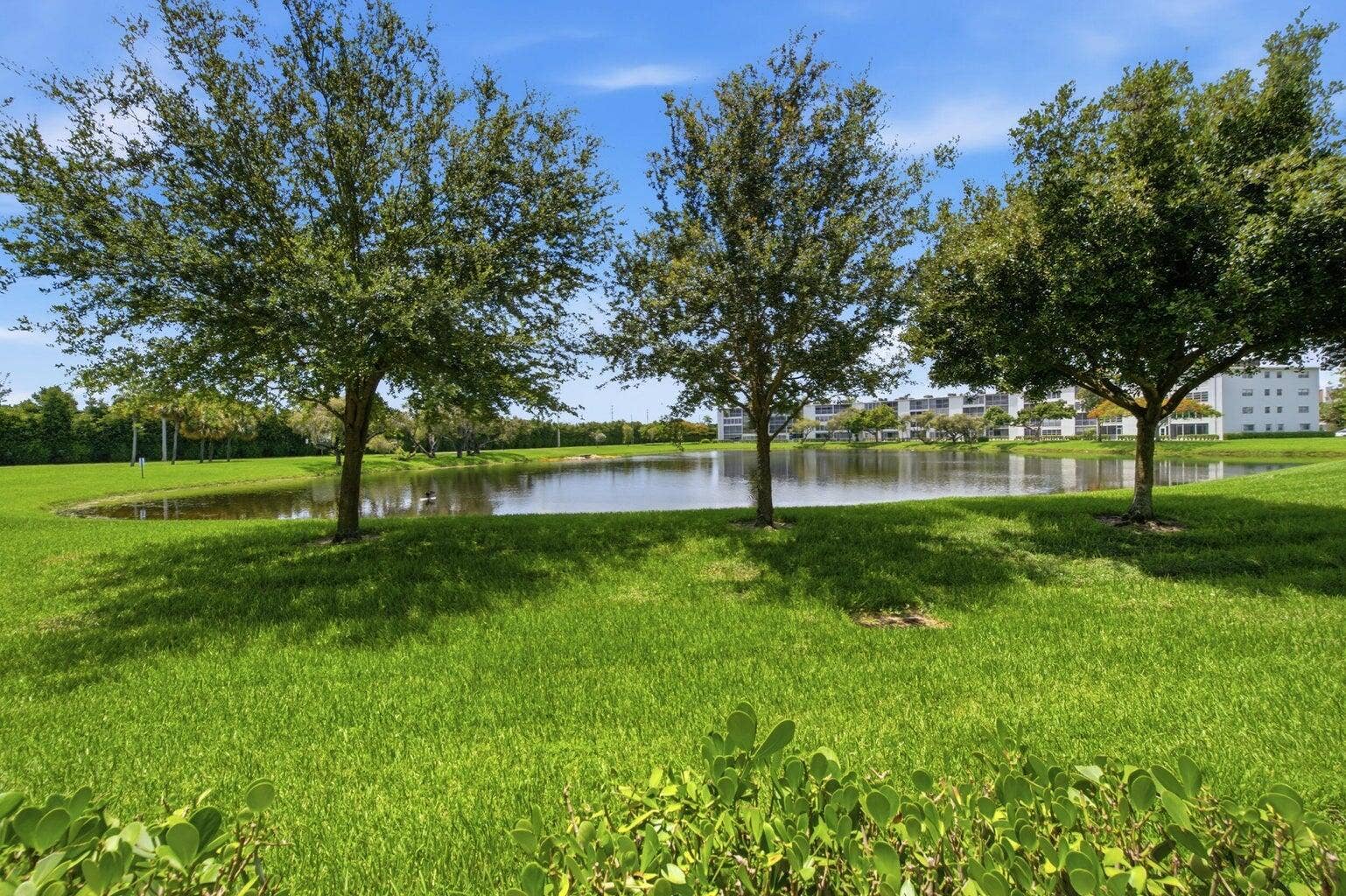 Lake View