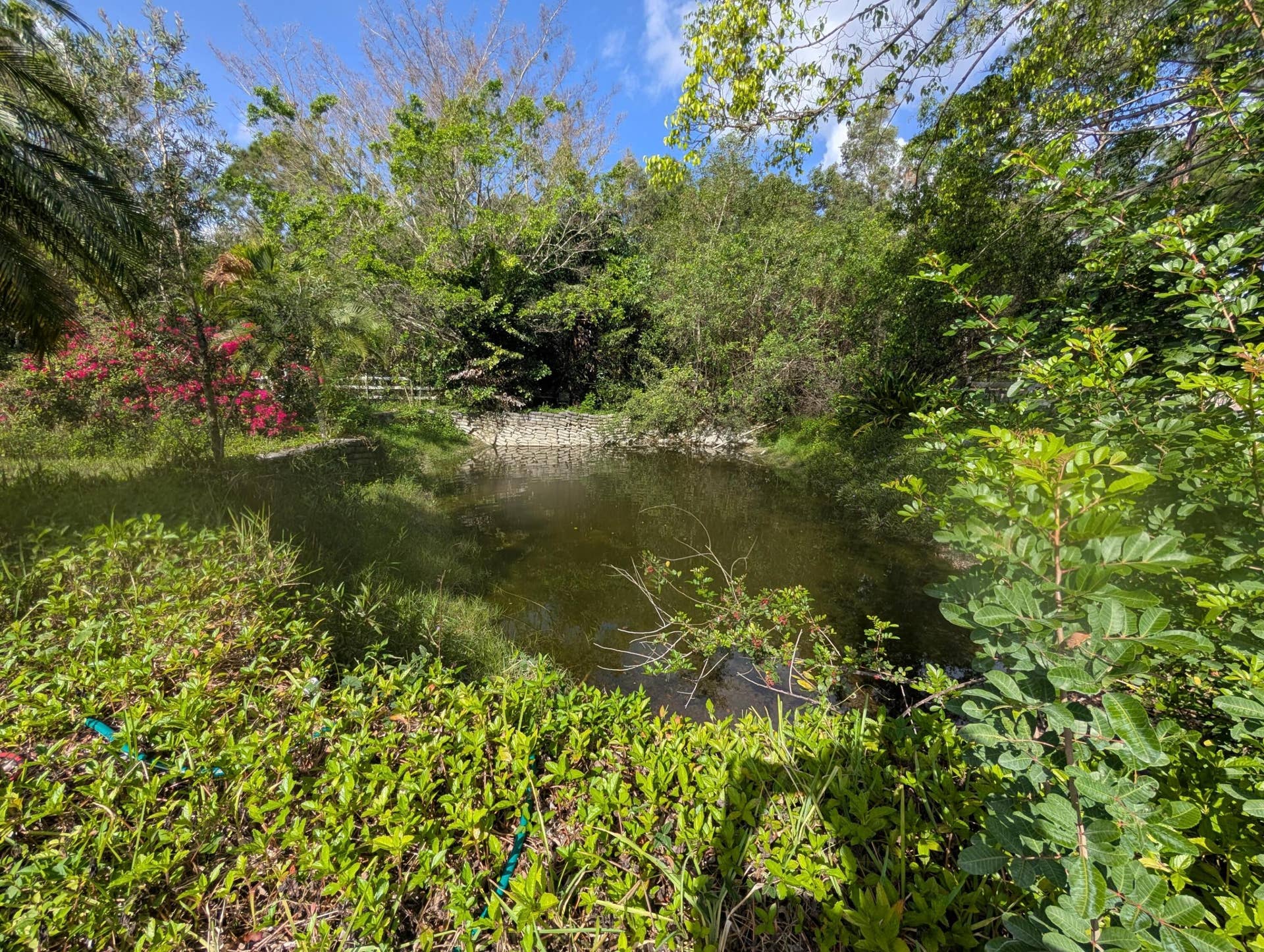 17681 93RD Road N, The Acreage, FL 33470 1.25