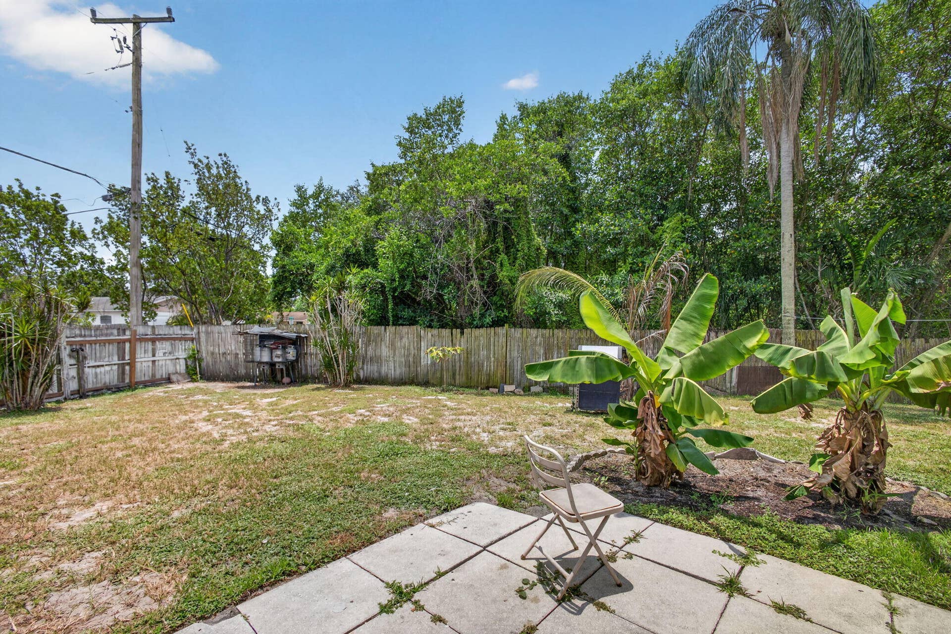 37-web-or-mls-5D1A8530