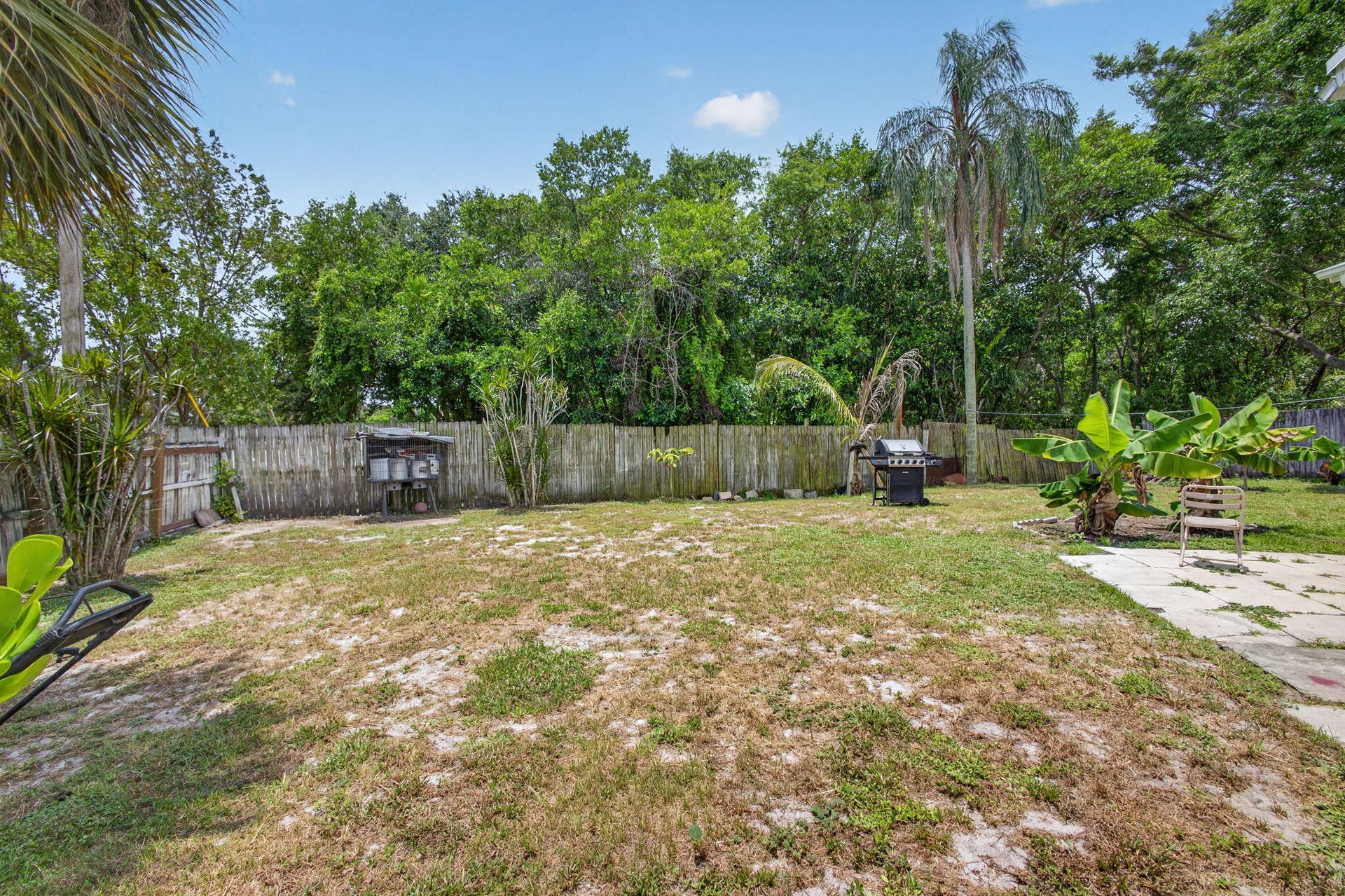 34-web-or-mls-5D1A8517