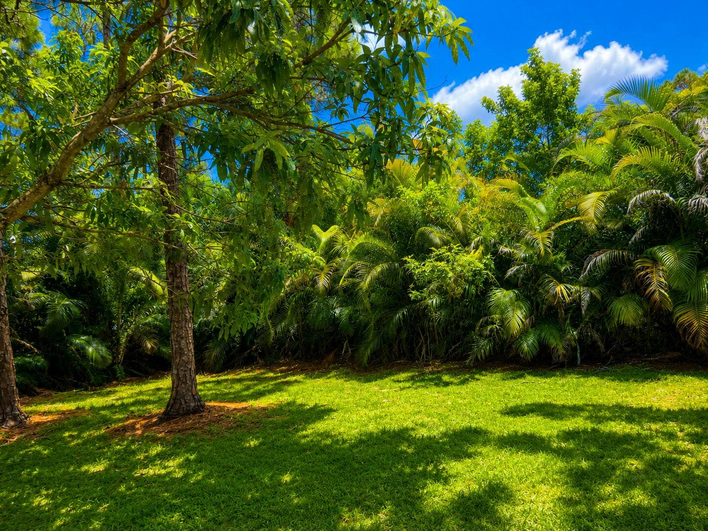 15057 60TH Place N, The Acreage, FL 33470 8E762663-0DB2-4168-8575-F8AC53CF2A08