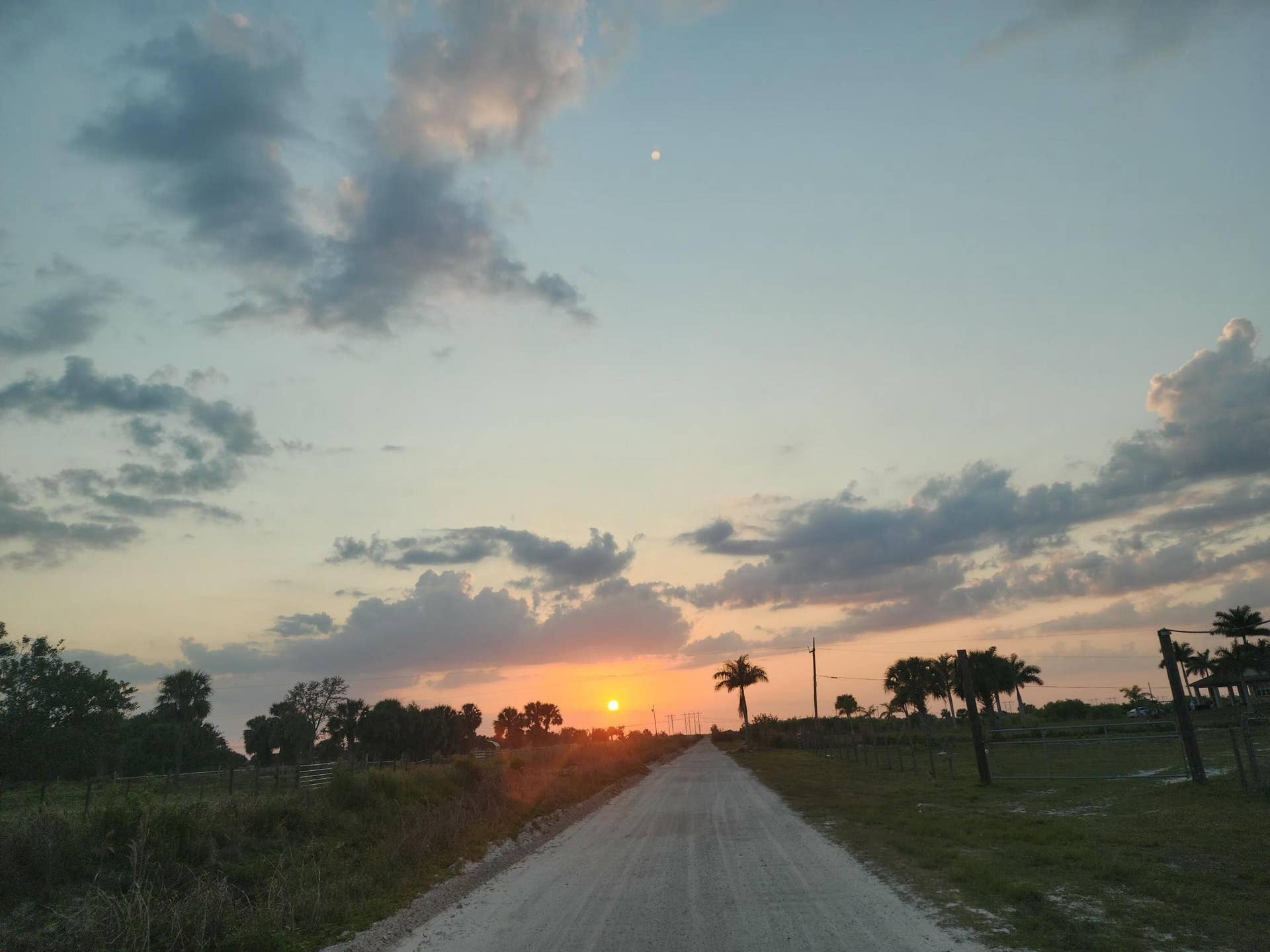 Gravel road extending into the distance, bordered by natural landscaping and mature palm trees