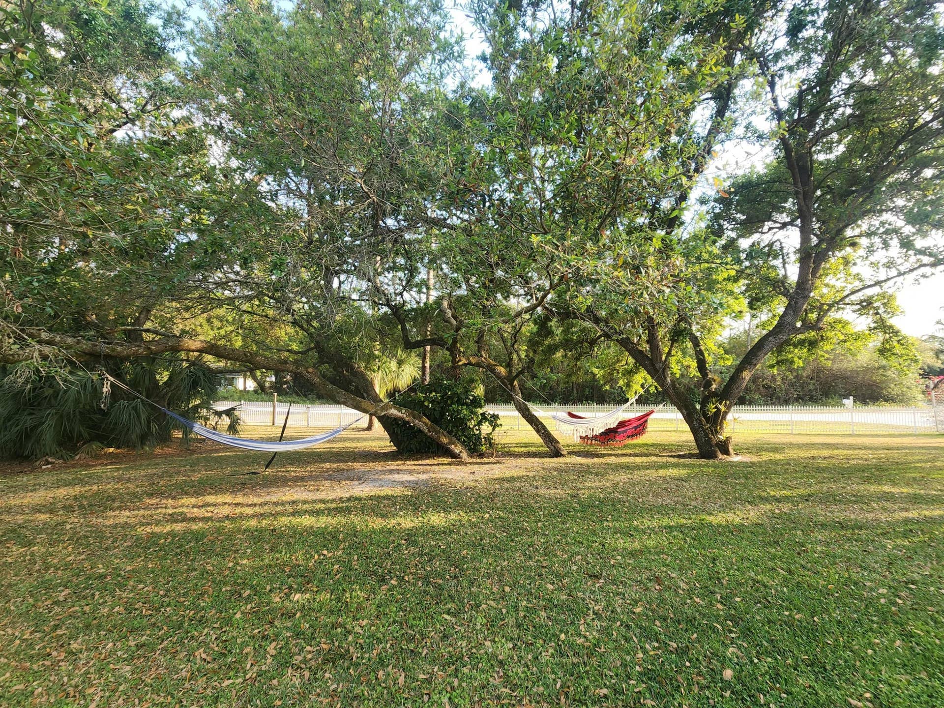 Expansive lawn area featuring mature trees providing natural shade
