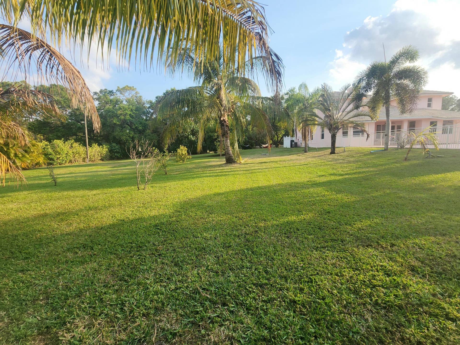 Expansive green lawn with mature palm trees and a light-colored stucco exterior