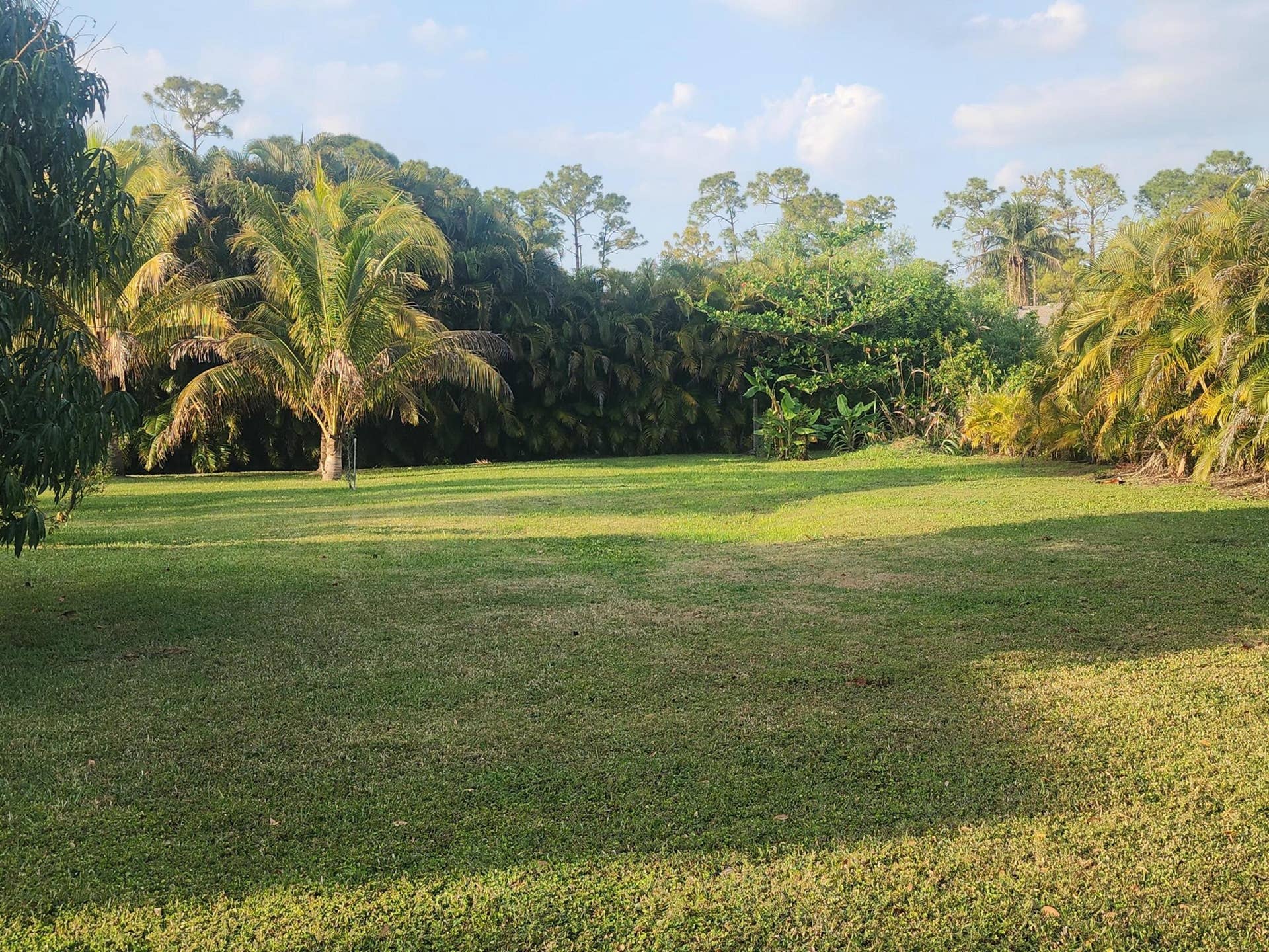 Expansive green lawn with a variety of mature tropical foliage and palm trees bordering the perimeter
