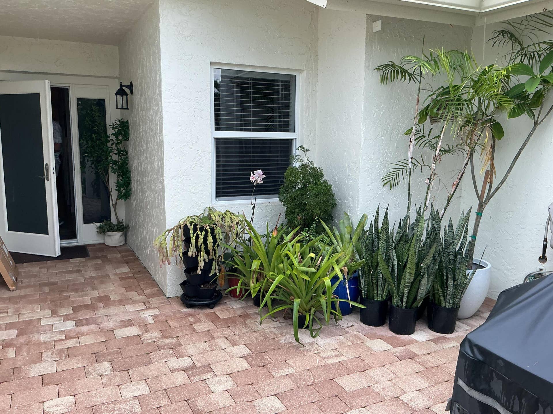 6918 BARBAROSSA Street, Boca Raton, FL 33433 Courtyard at entry