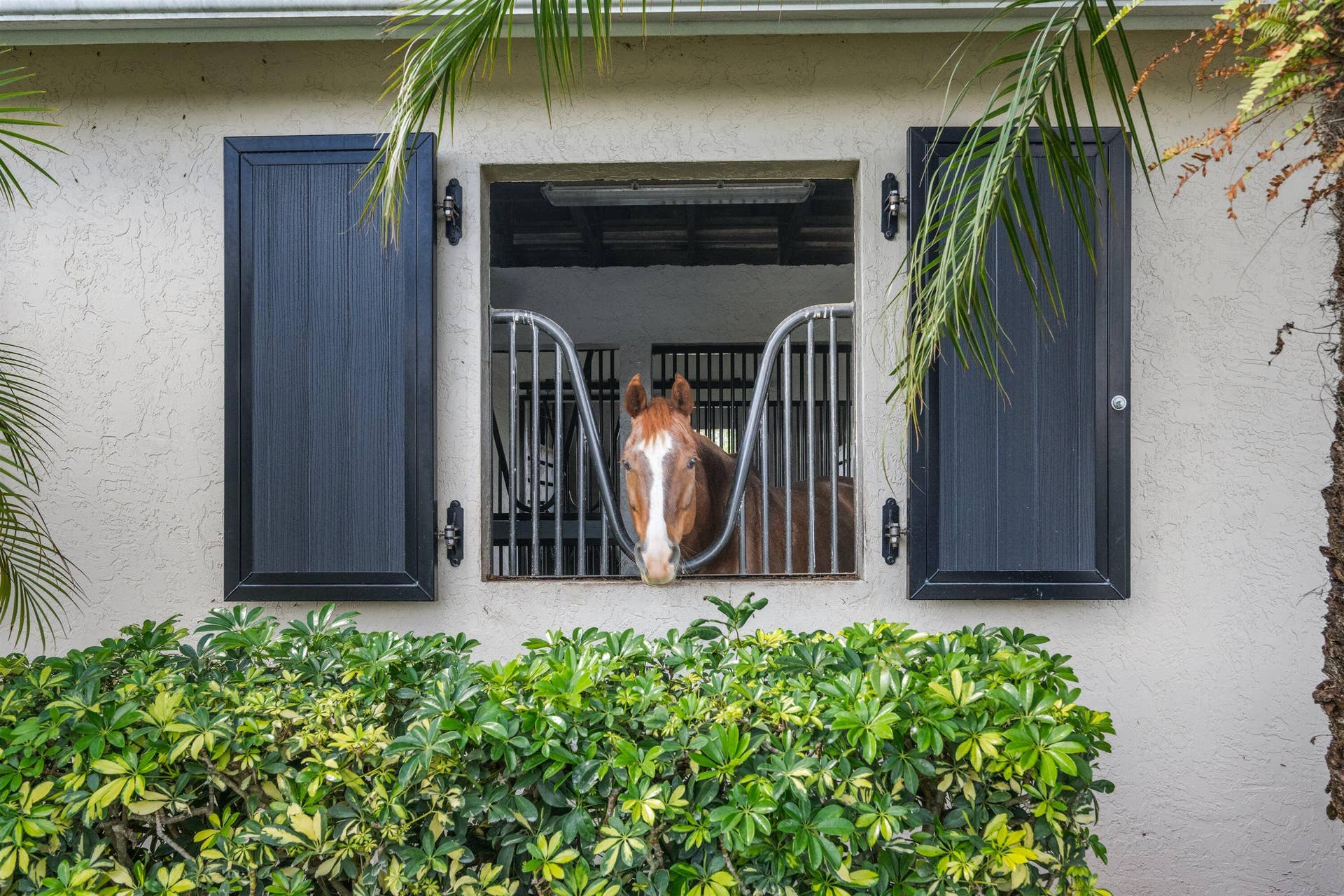 15380 46th Lane S, Wellington, FL 33414 50-DSC_9404