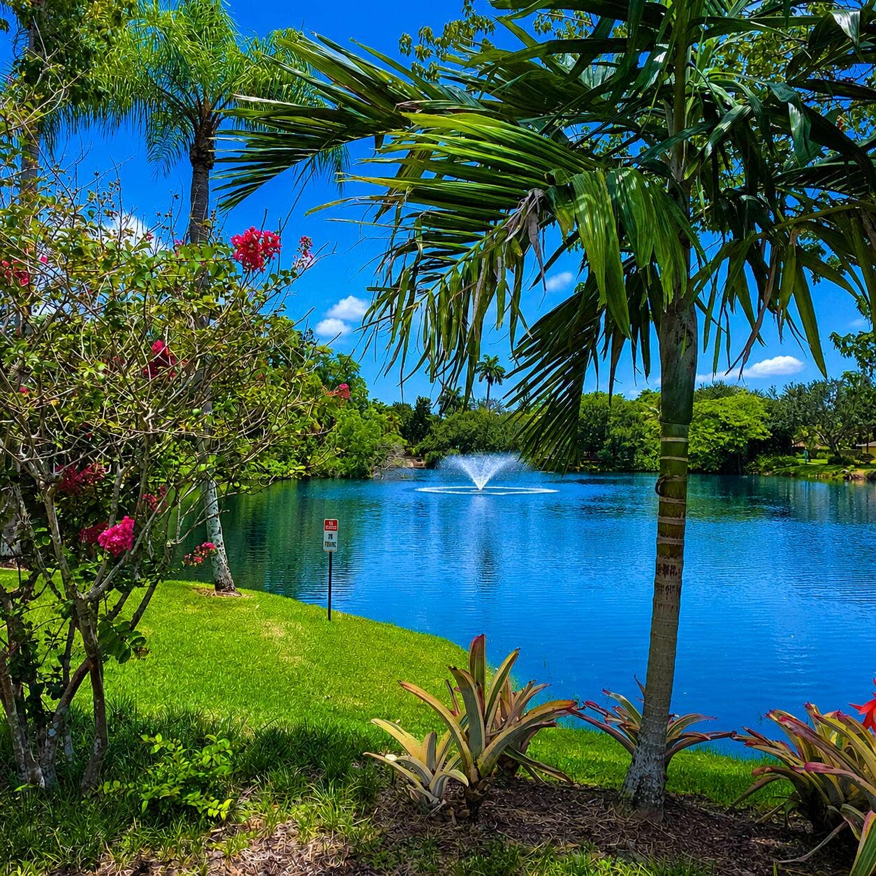 Albert Lake view