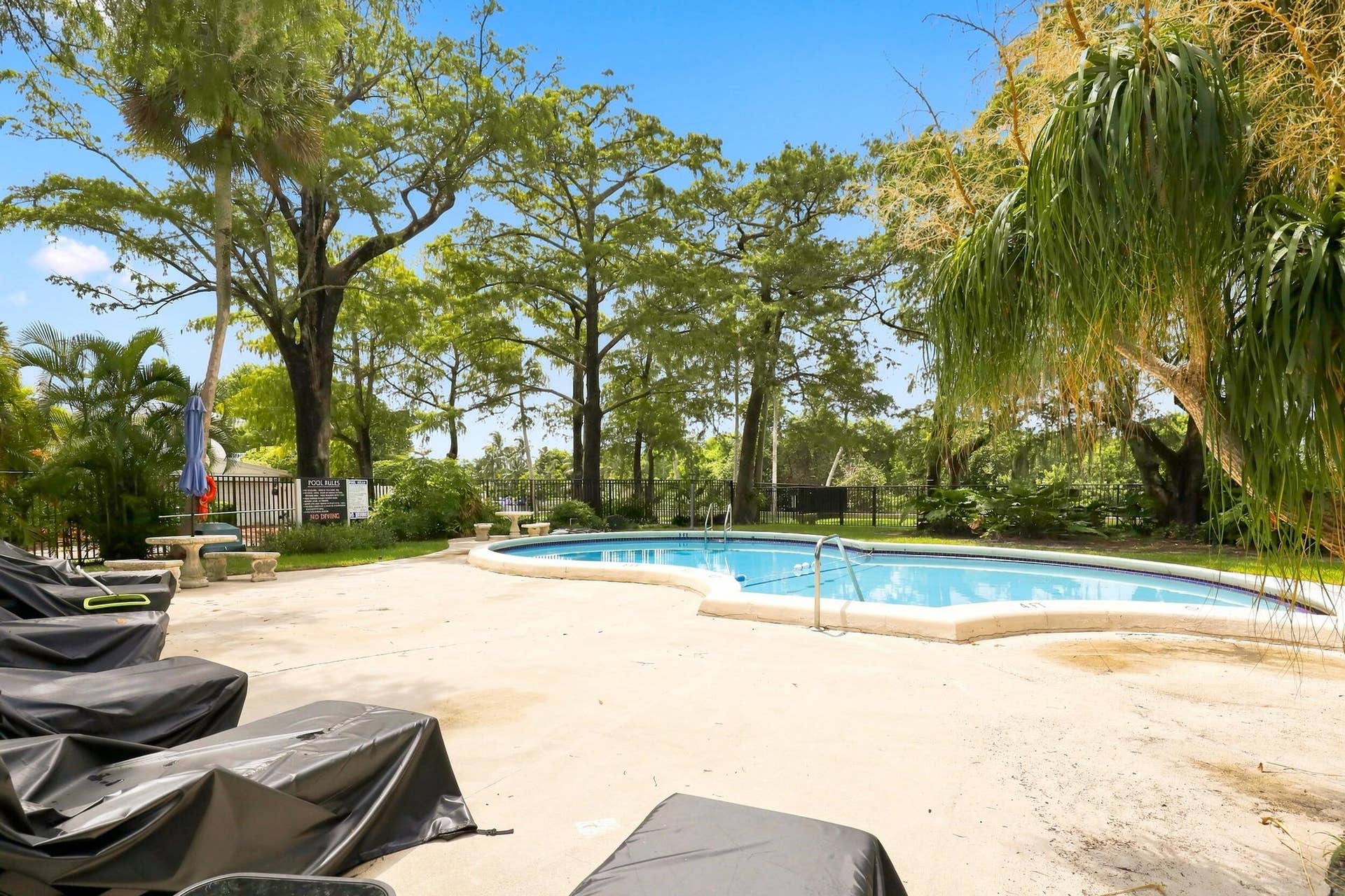 7 Middlesex Drive, Wilton Manors, FL 33305 Pool