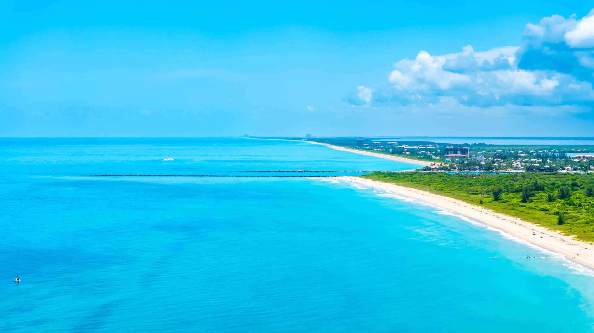 Blue Atlantic