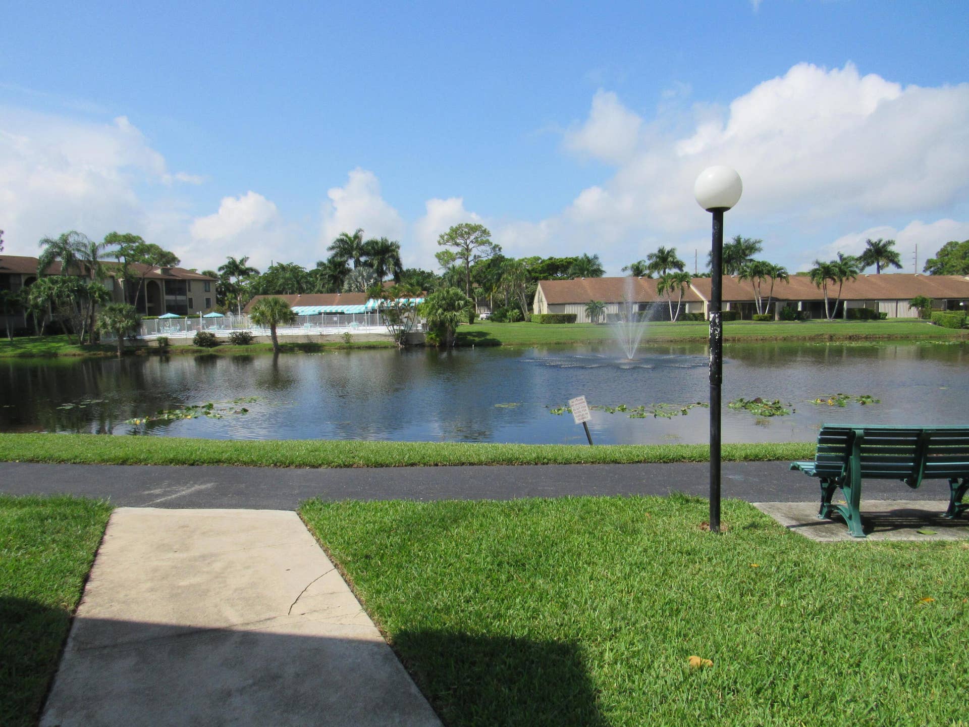 Lake view
