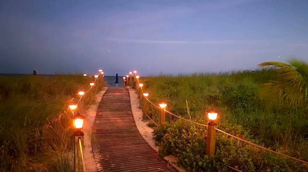 Pathway Night