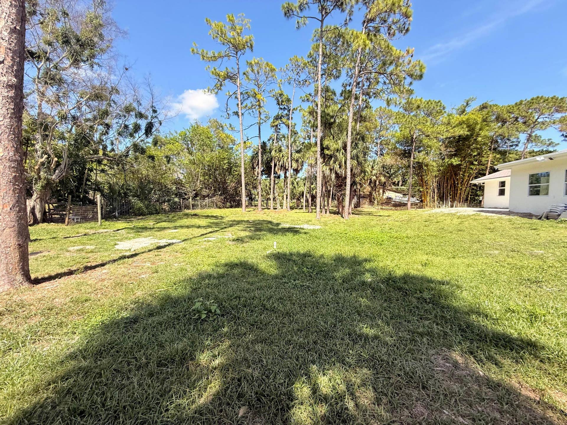 14817 97TH Road N, The Acreage, FL 33412 IMG_3301