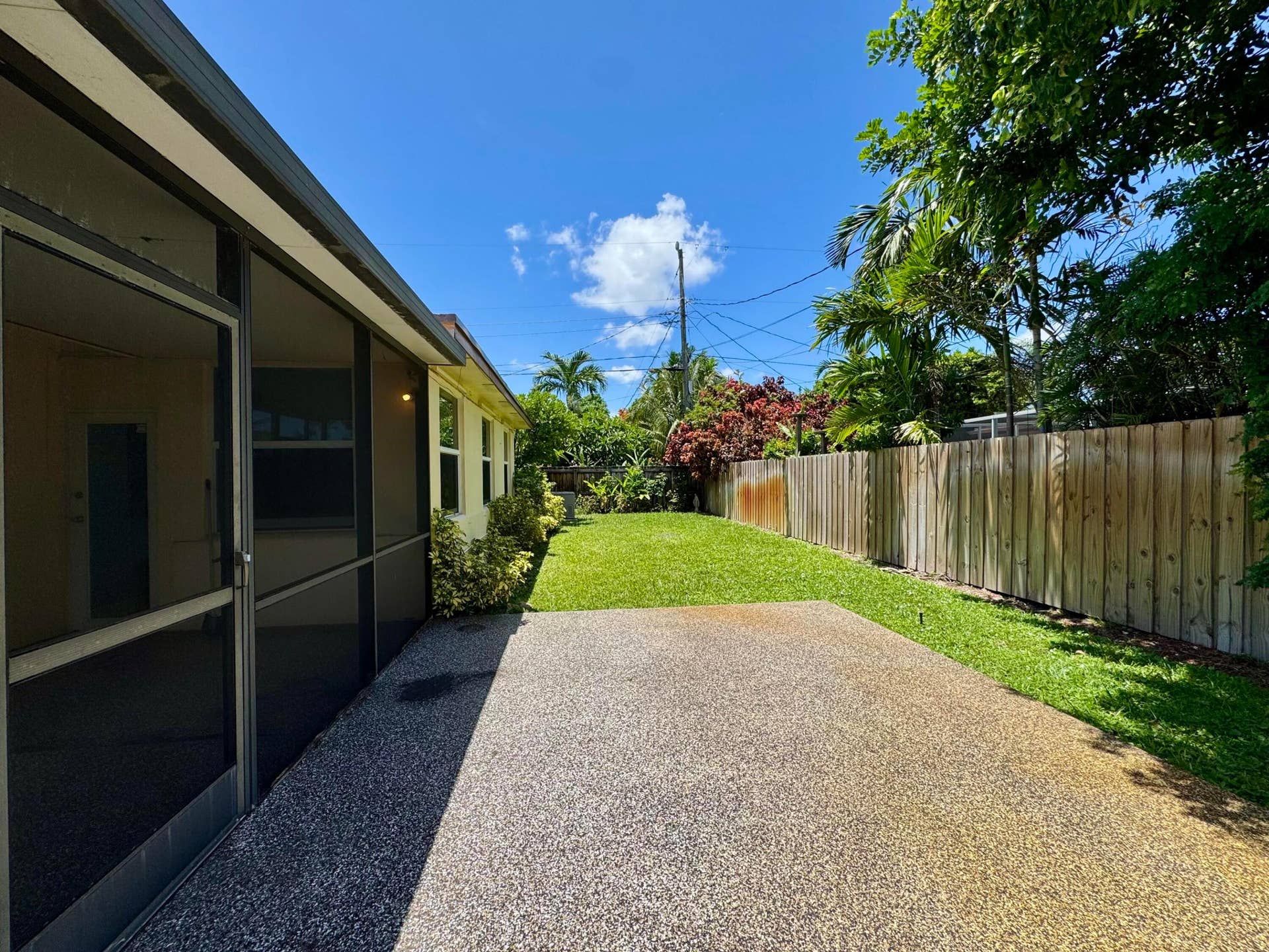 Back Yard