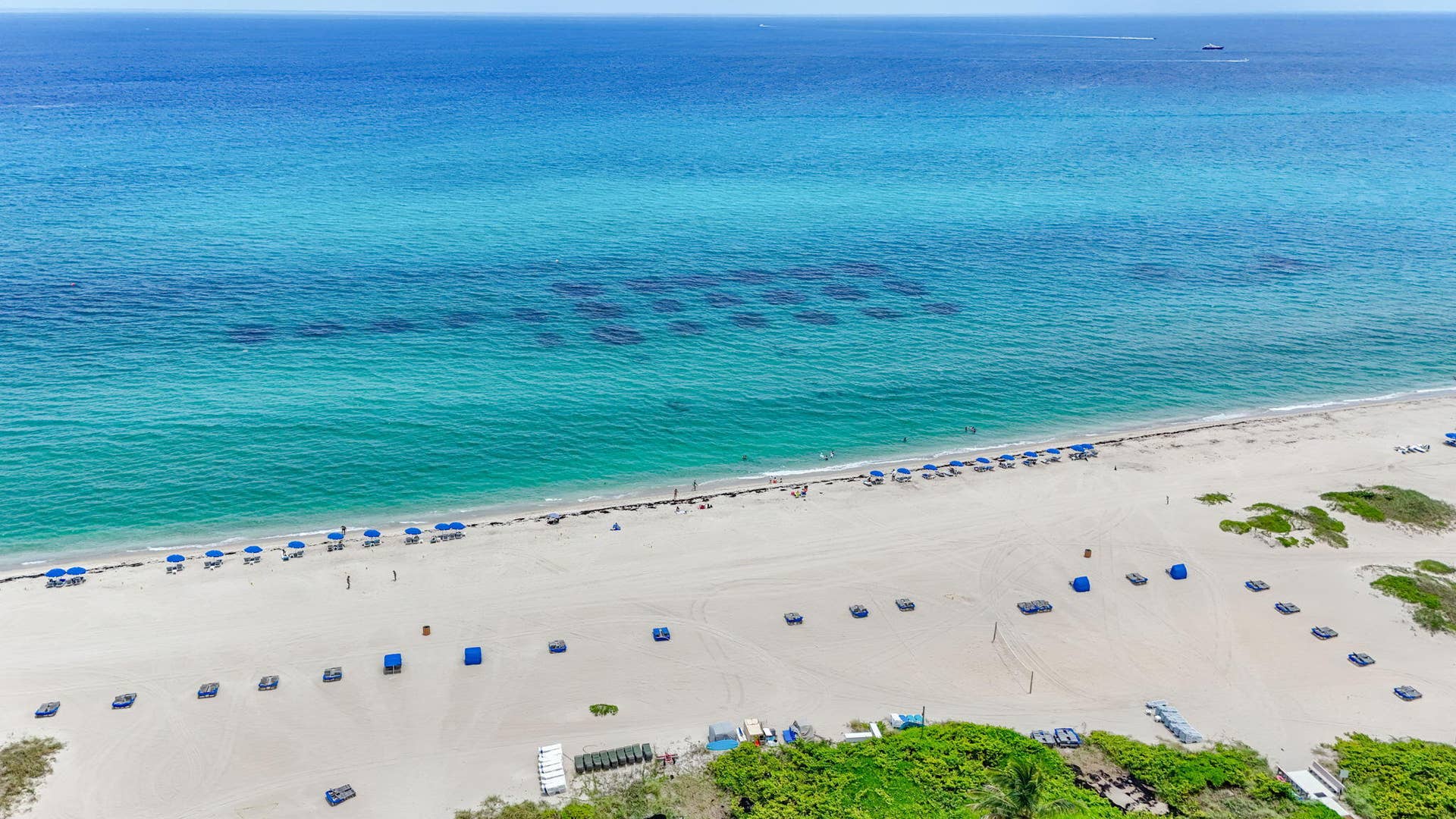 2800 N OCEAN Drive, #B-4A, Singer Island, FL 33404 107-web-or-mls-DJI_20260805011557_0142_D