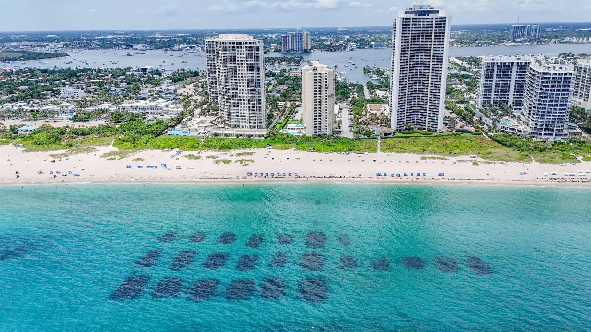 2800 N OCEAN Drive, #B-4A, Singer Island, FL 33404 78-web-or-mls-DJI_20260805010812_0055_D-