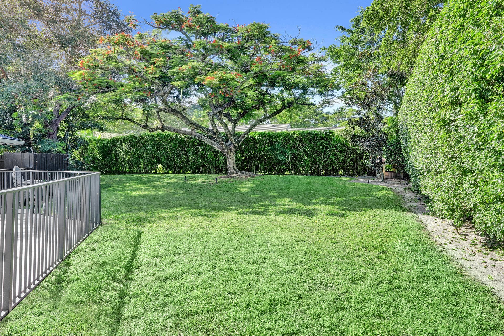 Lush Backyard