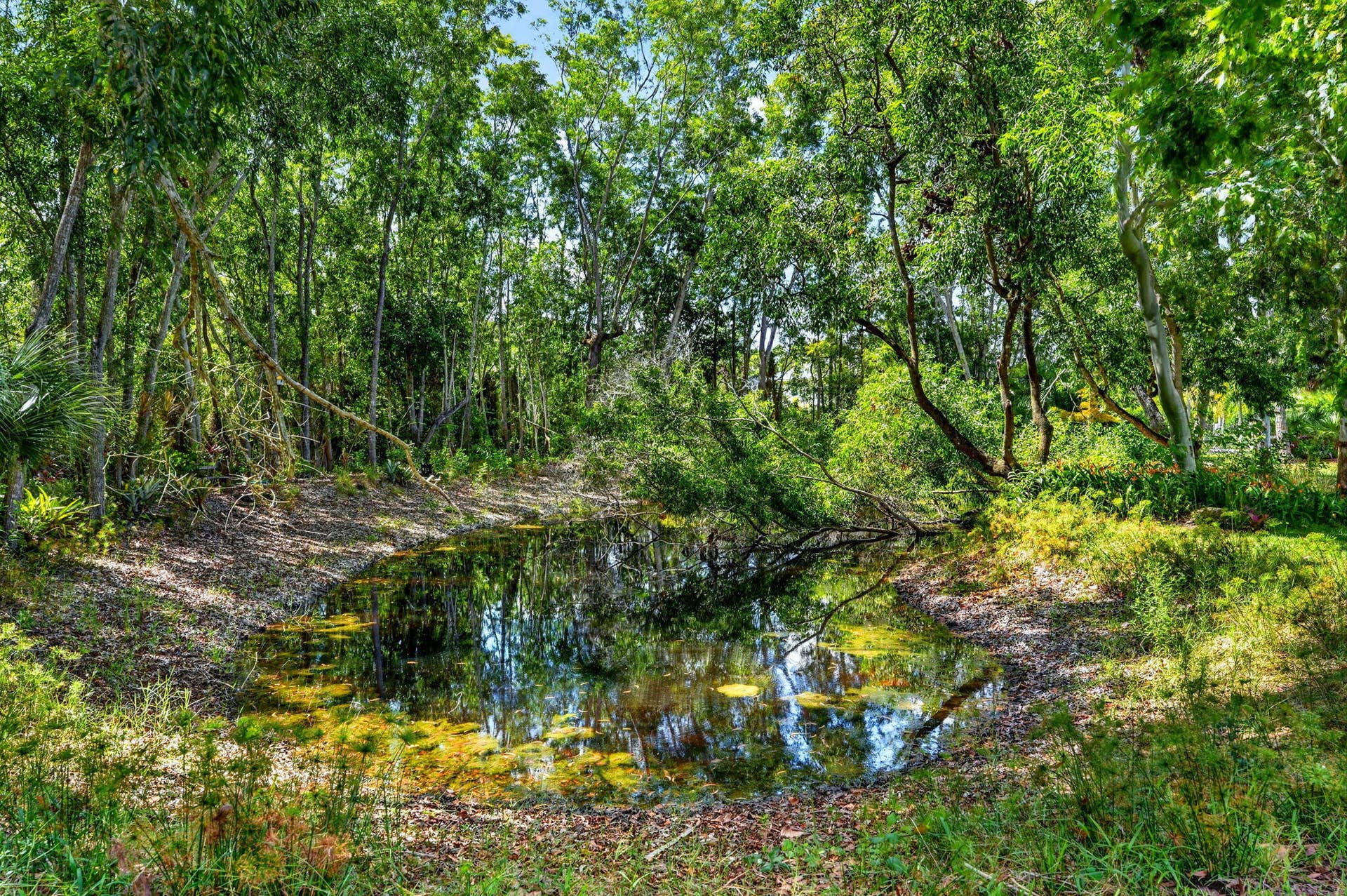 16780 HAYNIE Lane, Jupiter, FL 33478 48-web-or-mls-_MLP8282