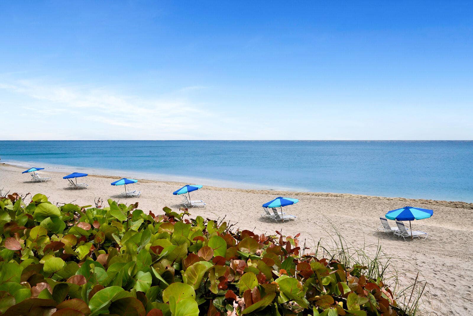 COTE BEACH CHAIRS
