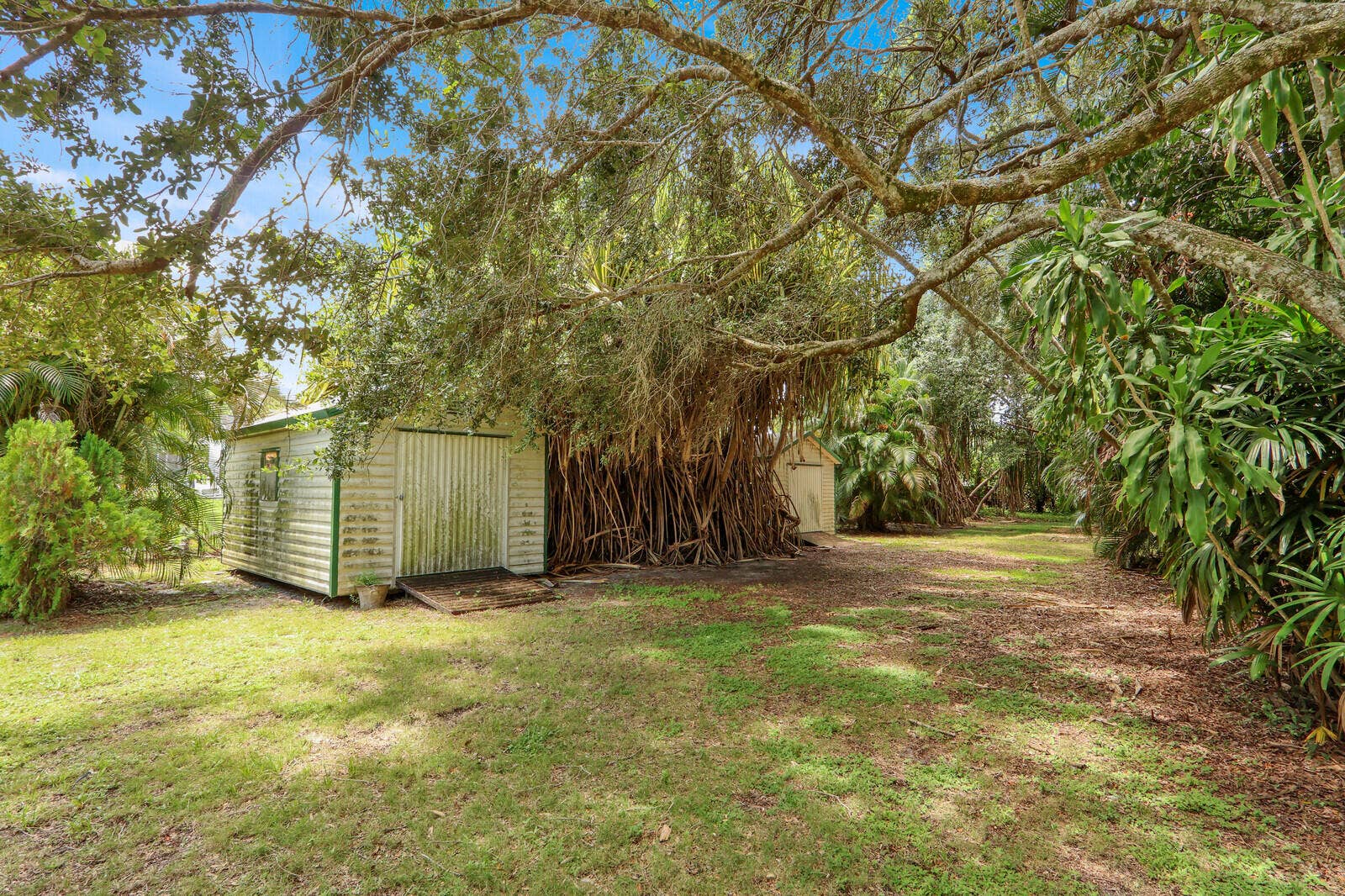 6466 Via Townsend, West Palm Beach, FL 33415 Backyard