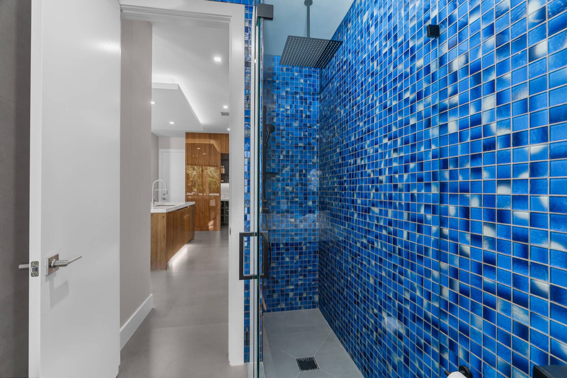 829 SW 11TH Street, Fort Lauderdale, FL 33315 DSC04102