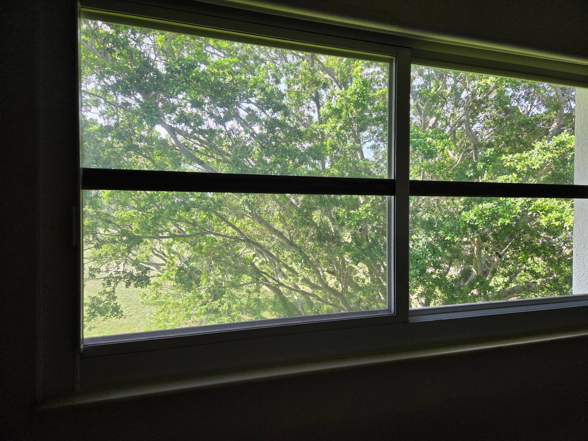 WINDOW I