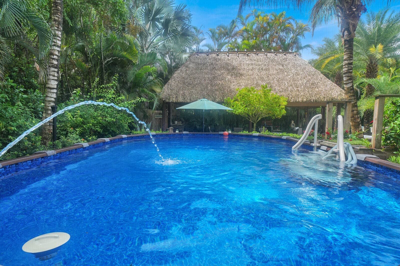 13432 153RD Road N, Jupiter, FL 33478 Above ground pool
