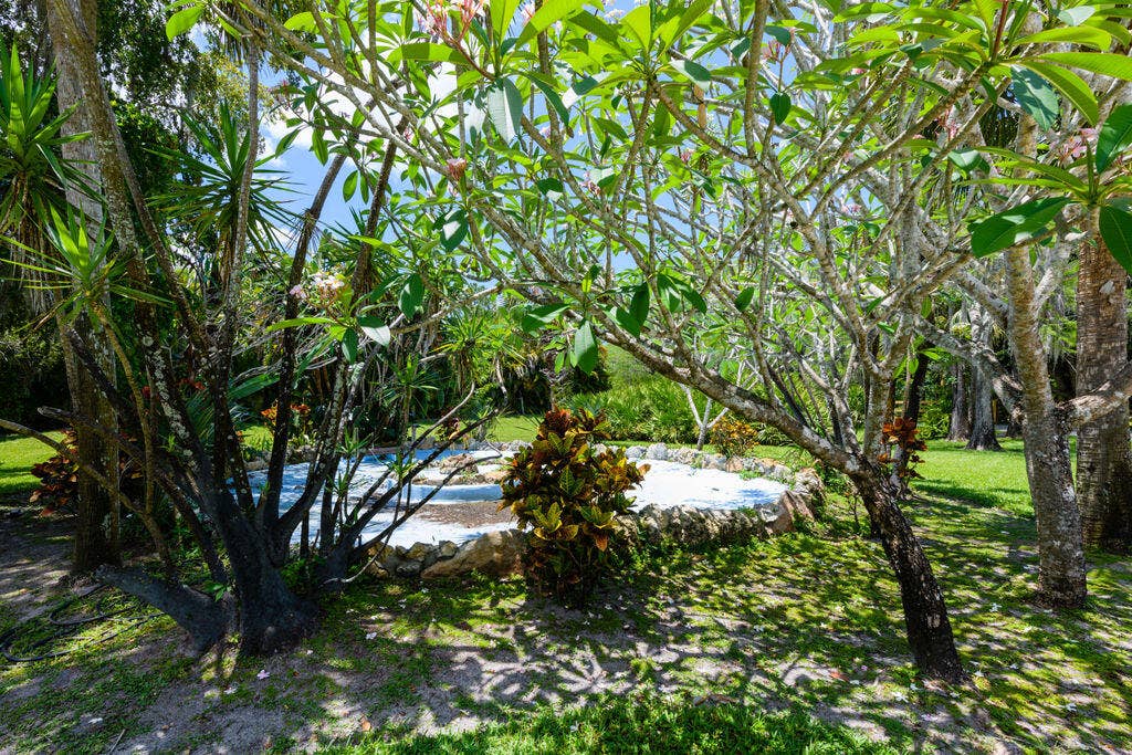 12856 Arrowwood Drive, Palm Beach Gardens, FL 33418 DSC_5199 - Copy - Copy - Copy - Copy