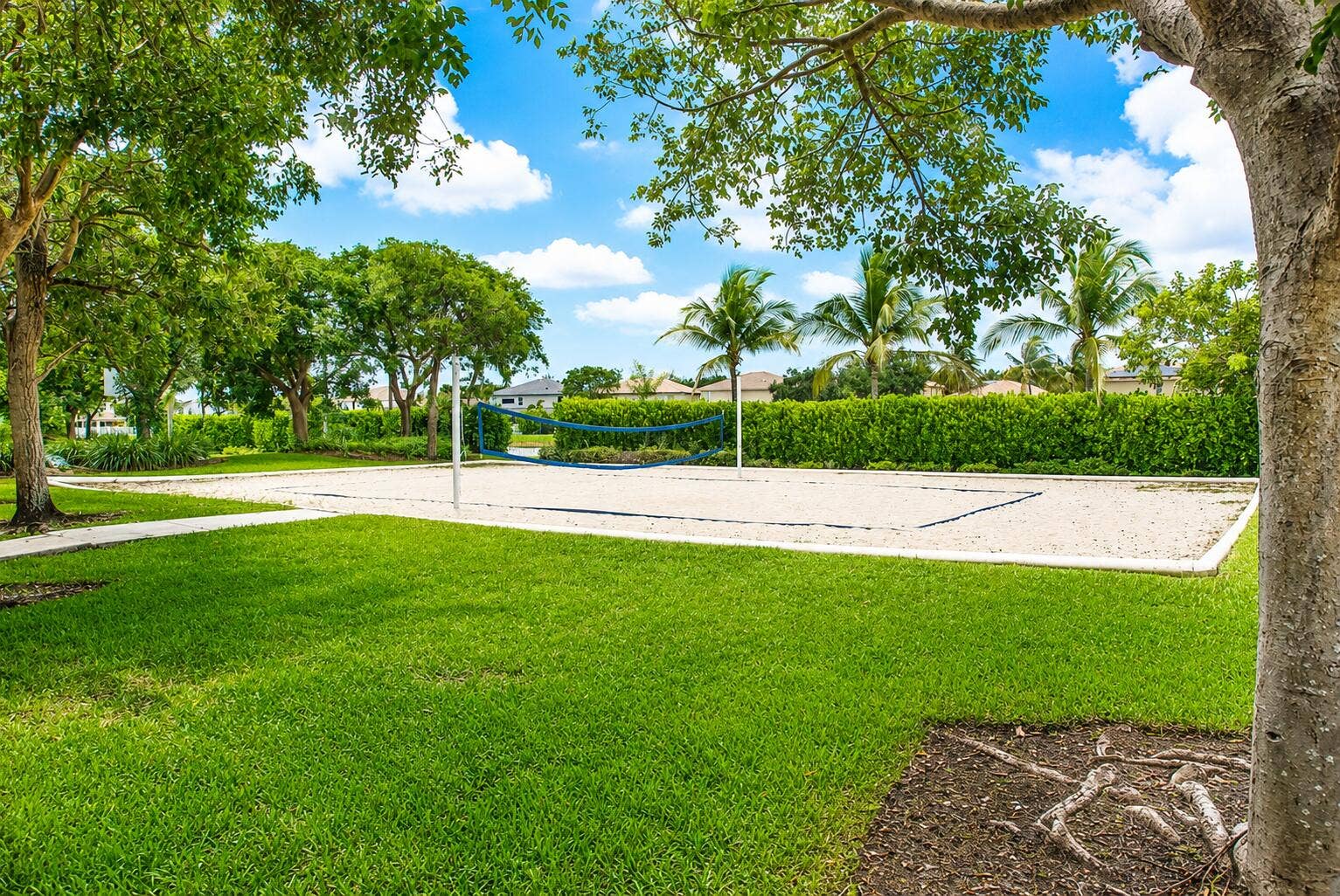 3800 E Hibiscus Street, Weston, FL 33332 Vollyball