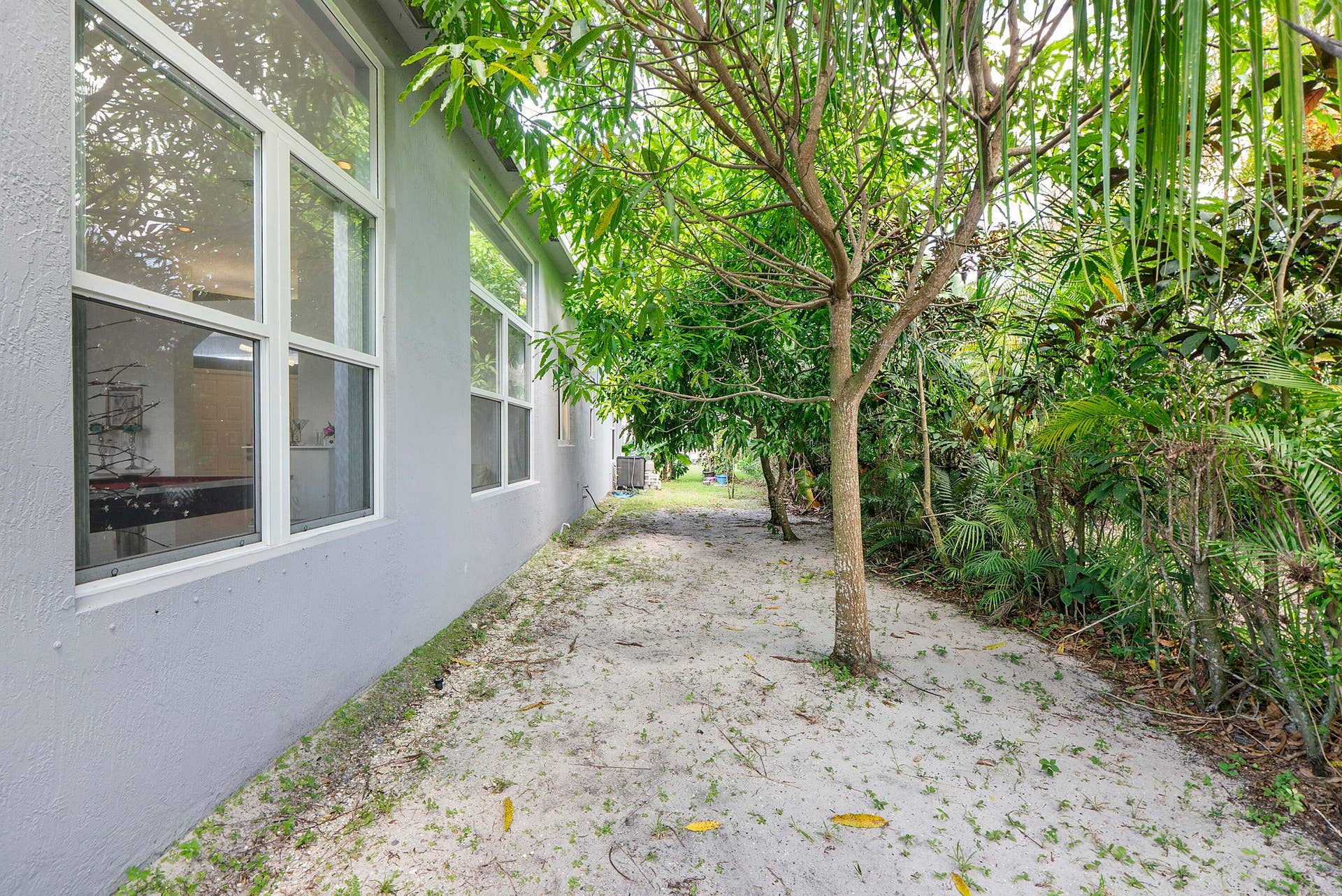 4862 Kensington Circle, Coral Springs, FL 33076 Backyard with fruit trees