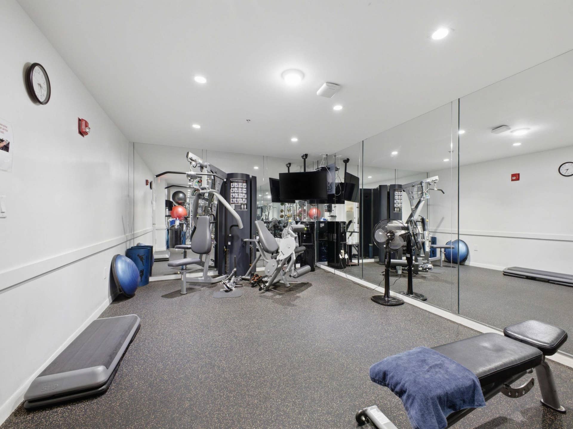 Gym Weights